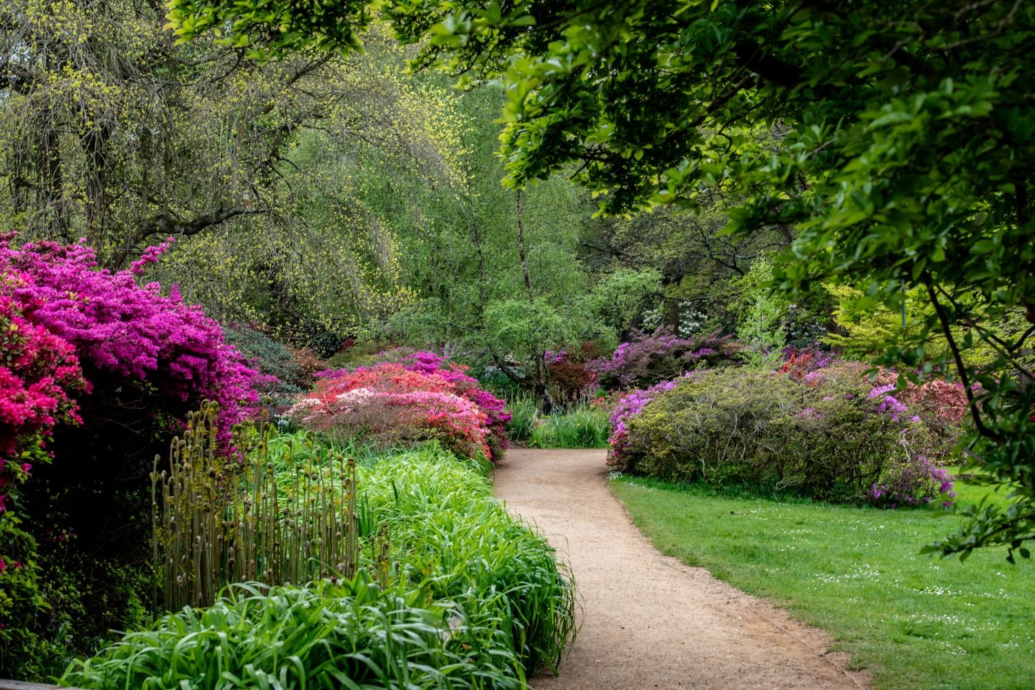 Isabella Plantation