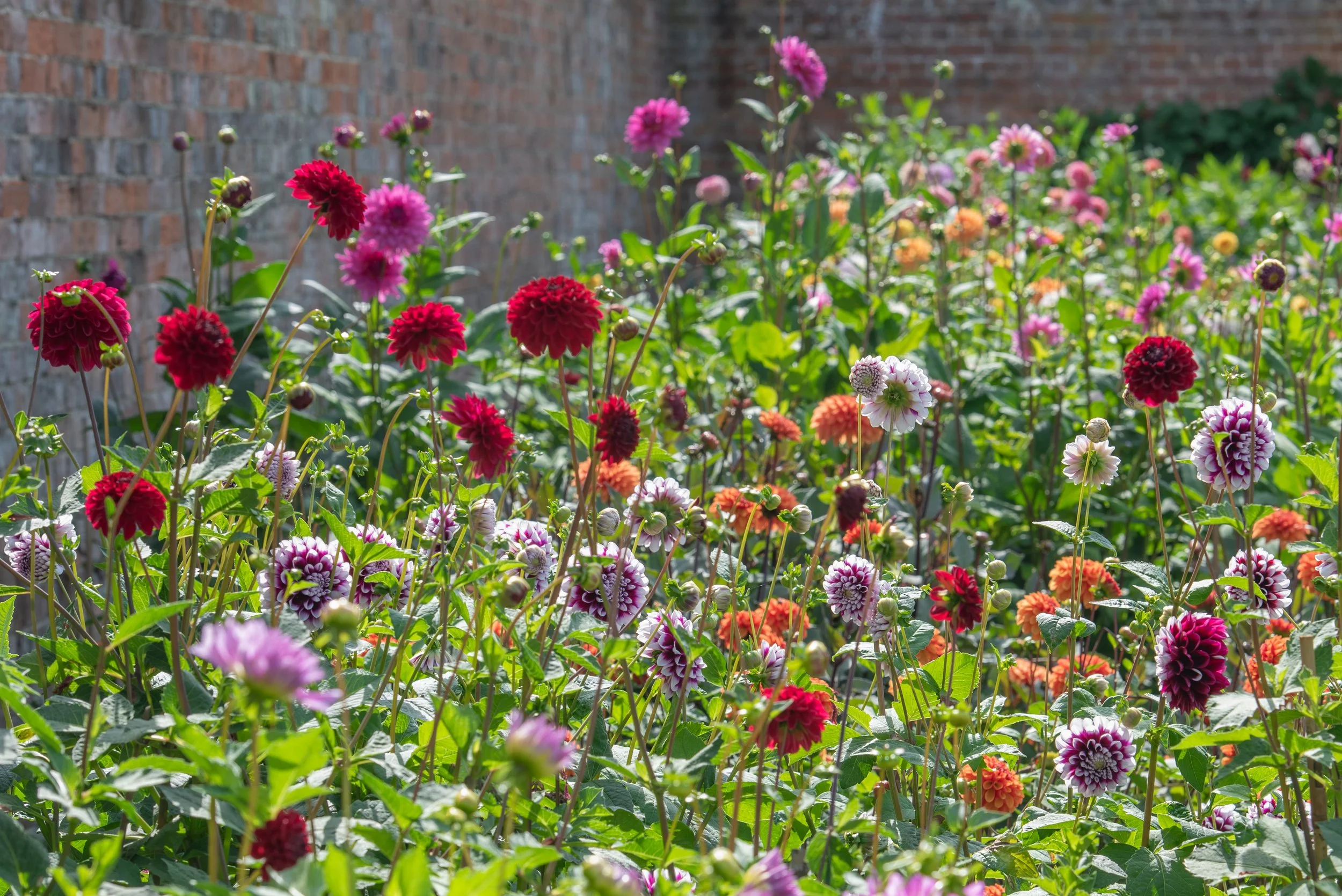 Waterperry Gardens