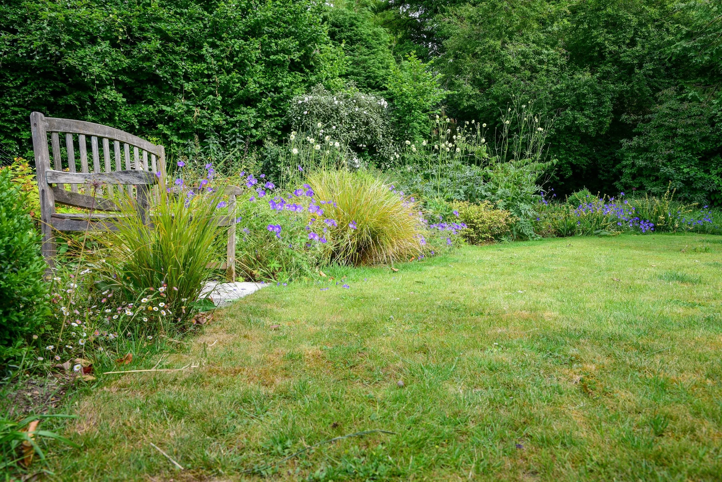 A wooden bench sits beside ornamental grasses and blue geraniums at the edge of a lawn. JaneShanksterGardenDesign.co.uk

A weathered timber bench nestles among feathery Stipa grasses and drifts of blue geranium, marking a quiet corner at the edge of 