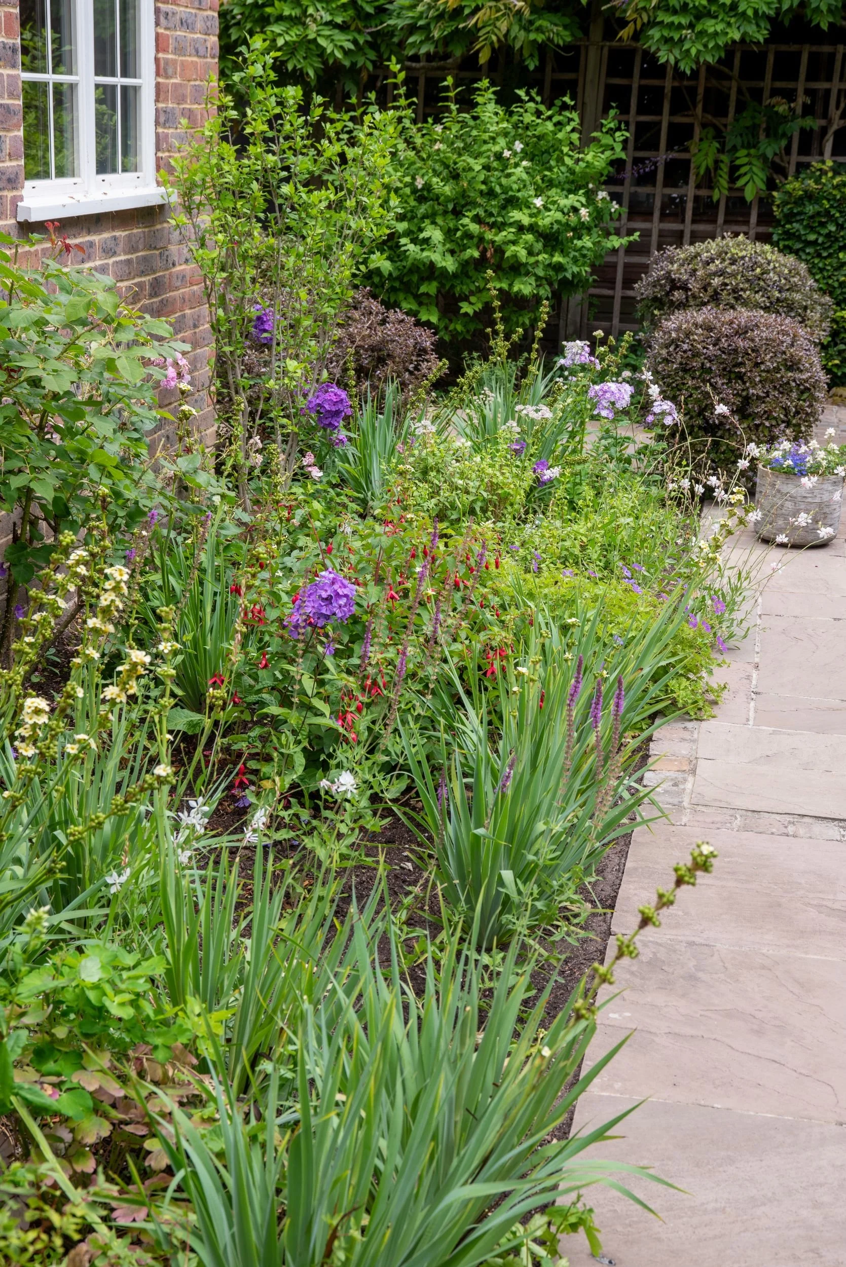 Mixed perennial border along house with stone path, Surrey garden replanting by Jane Shankster Garden Design

Phlox, fuchsia, salvia and liatris fill a deep border running alongside the house, with iris foliage providing structure between the floweri