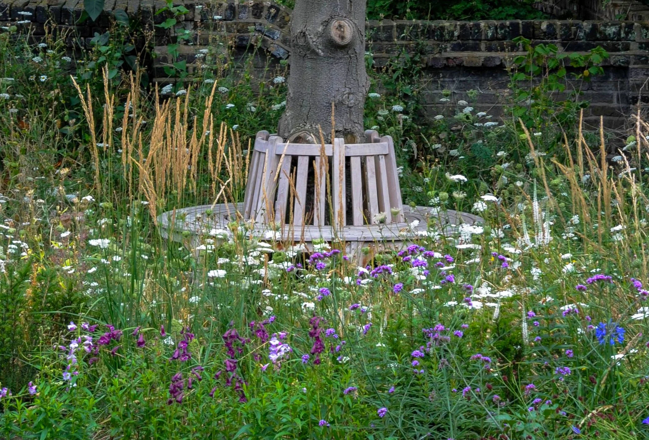 A wooden bench built around a tree trunk, surrounded by billowing wildflowers and grasses — a quiet corner of a garden designed for switching off and pottering.