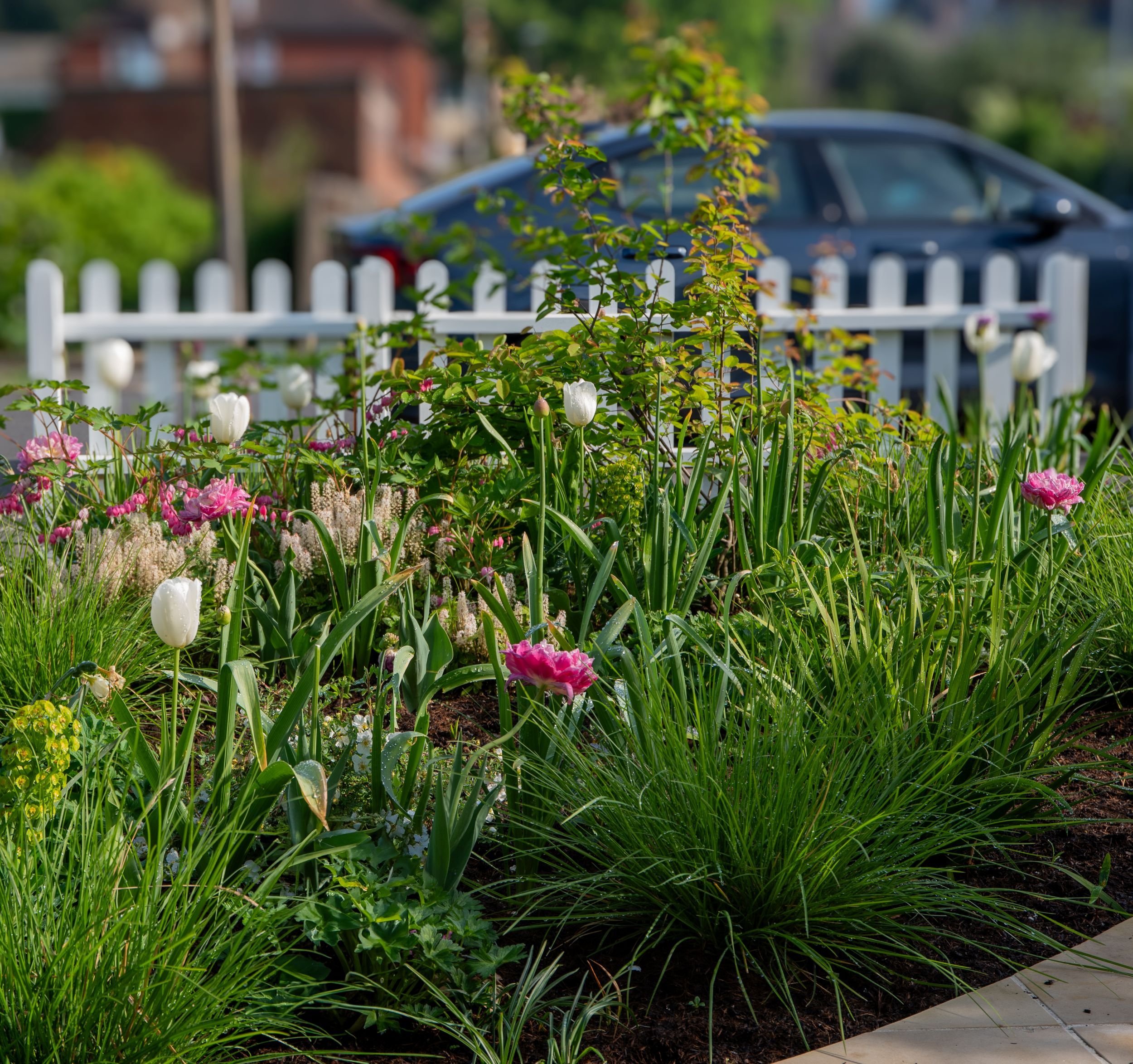A curved border of white tulips and tiarella beneath a bay window with a copper roof in a Raynes Park front garden. JaneShanksterGardenDesign.co.uk

A crescent-shaped bed of white tulips and tiarella wraps beneath the home's bay window, echoing the c