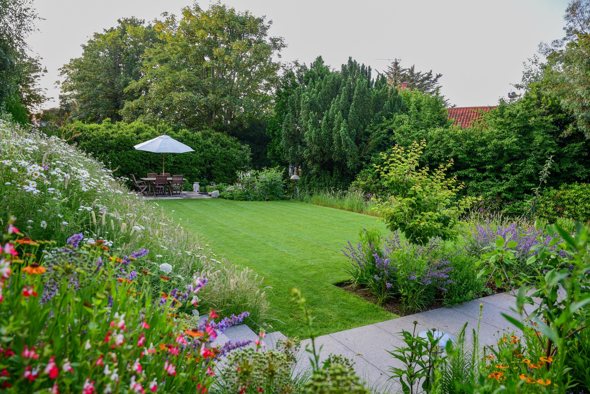 A wide view over a terraced Raynes Park garden, showing the lawn, mixed borders, wildflower bank and dining terrace together. JaneShanksterGardenDesign.co.uk.

This wider view brings the whole garden together: the wildflower bank on one side, a deep 