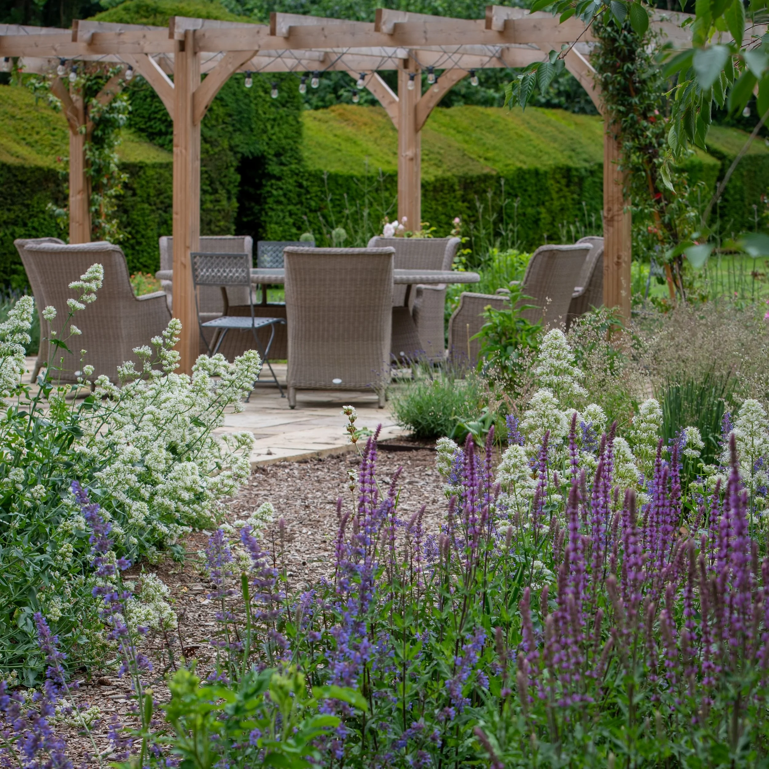 A timber pergola with festoon lights over a rattan dining set on a stone patio, surrounded by naturalistic borders of purple salvia, white centranthus and blue catmint in a Surrey nature garden, with clipped yew hedge behind. ArthurRoadLandscapes.co.