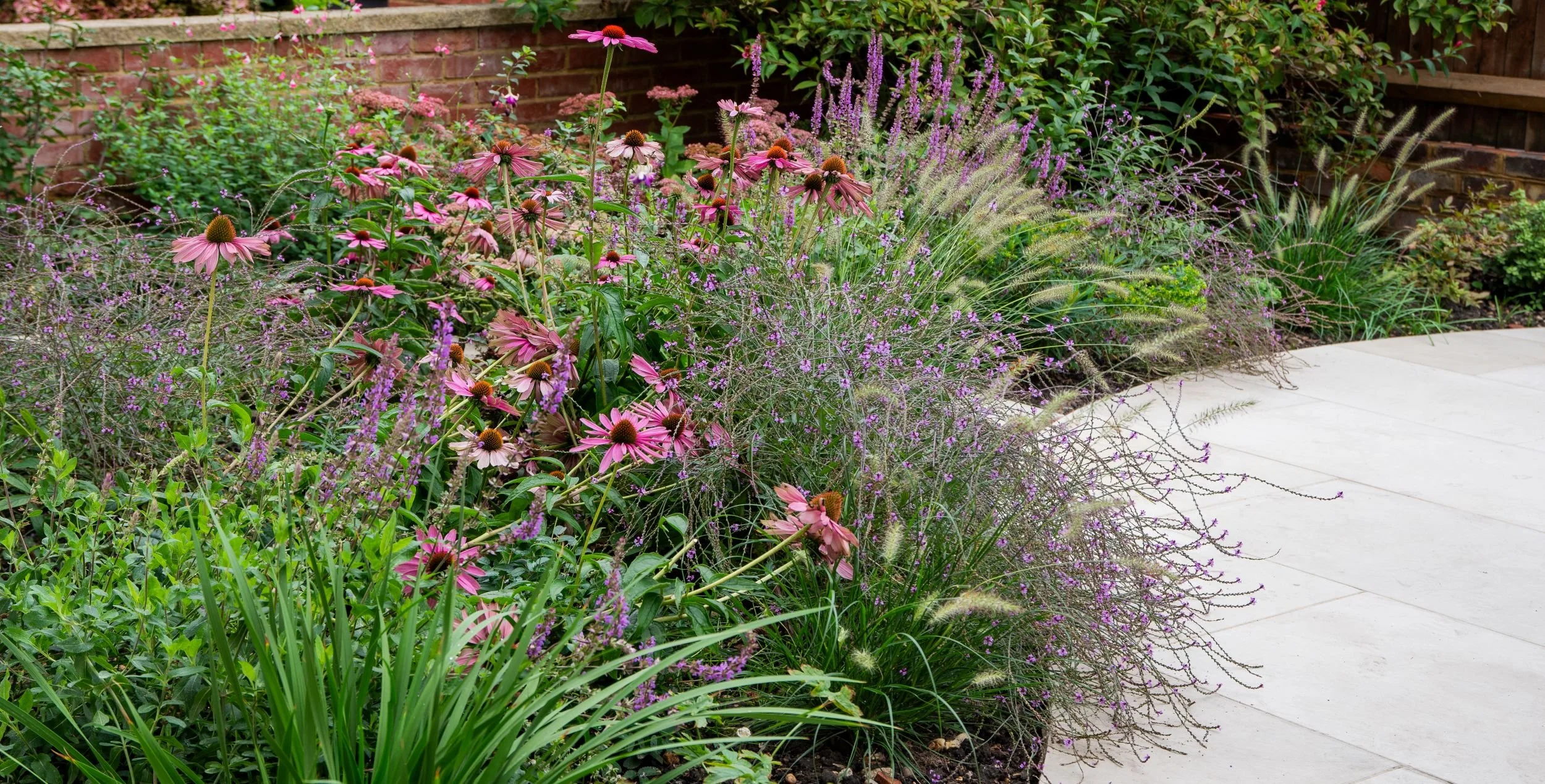 Curved sandstone patio bordered by echinacea, salvia and ornamental grasses. Designed by JaneShanksterGardenDesign.co.uk

The generous curved border of coneflowers, salvias and grasses sweeps alongside the new sandstone patio, creating a soft transit