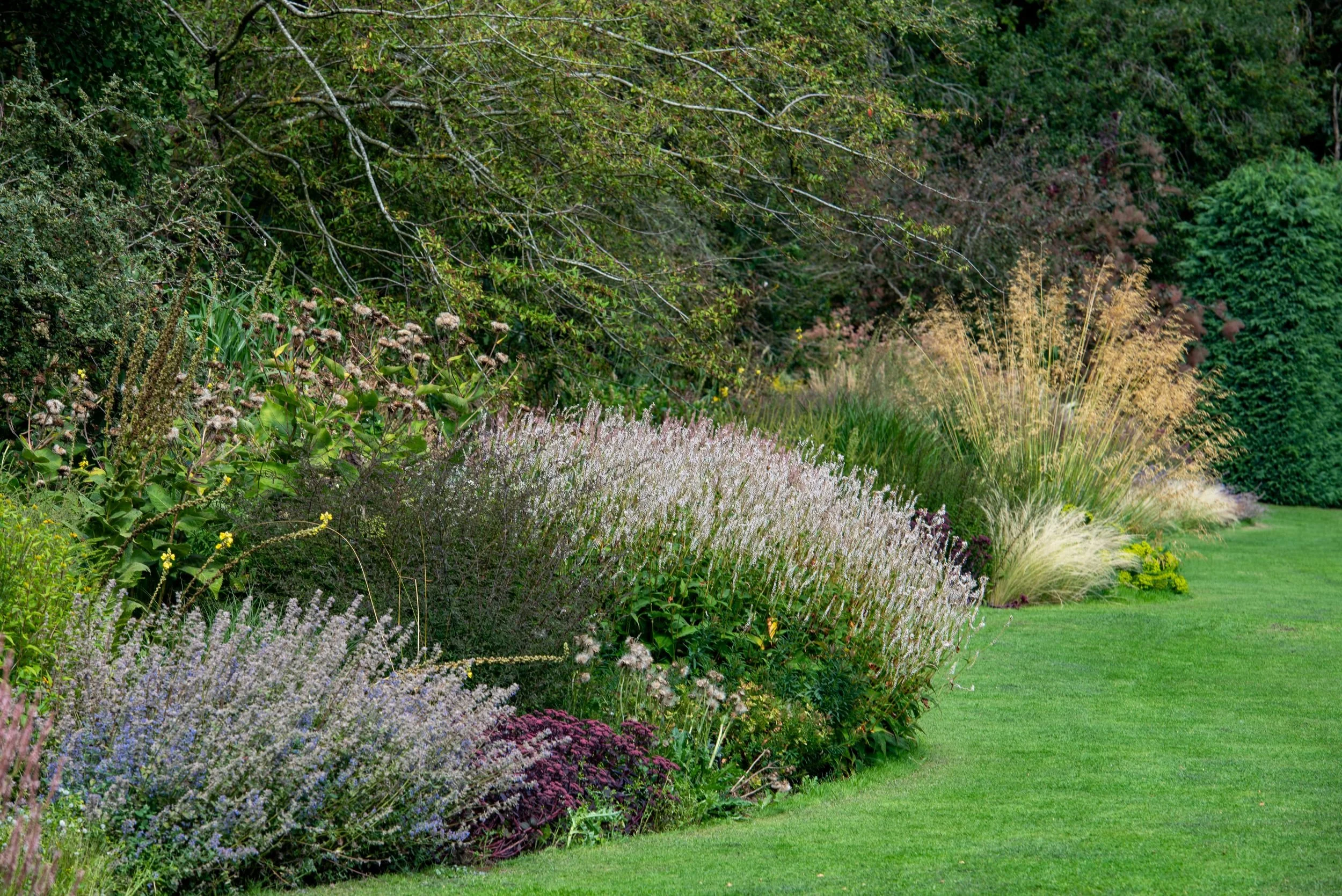 Late summer grasses and perennials in a Waterperry Gardens border, with seedheads, sedum and ornamental grasses catching the light.