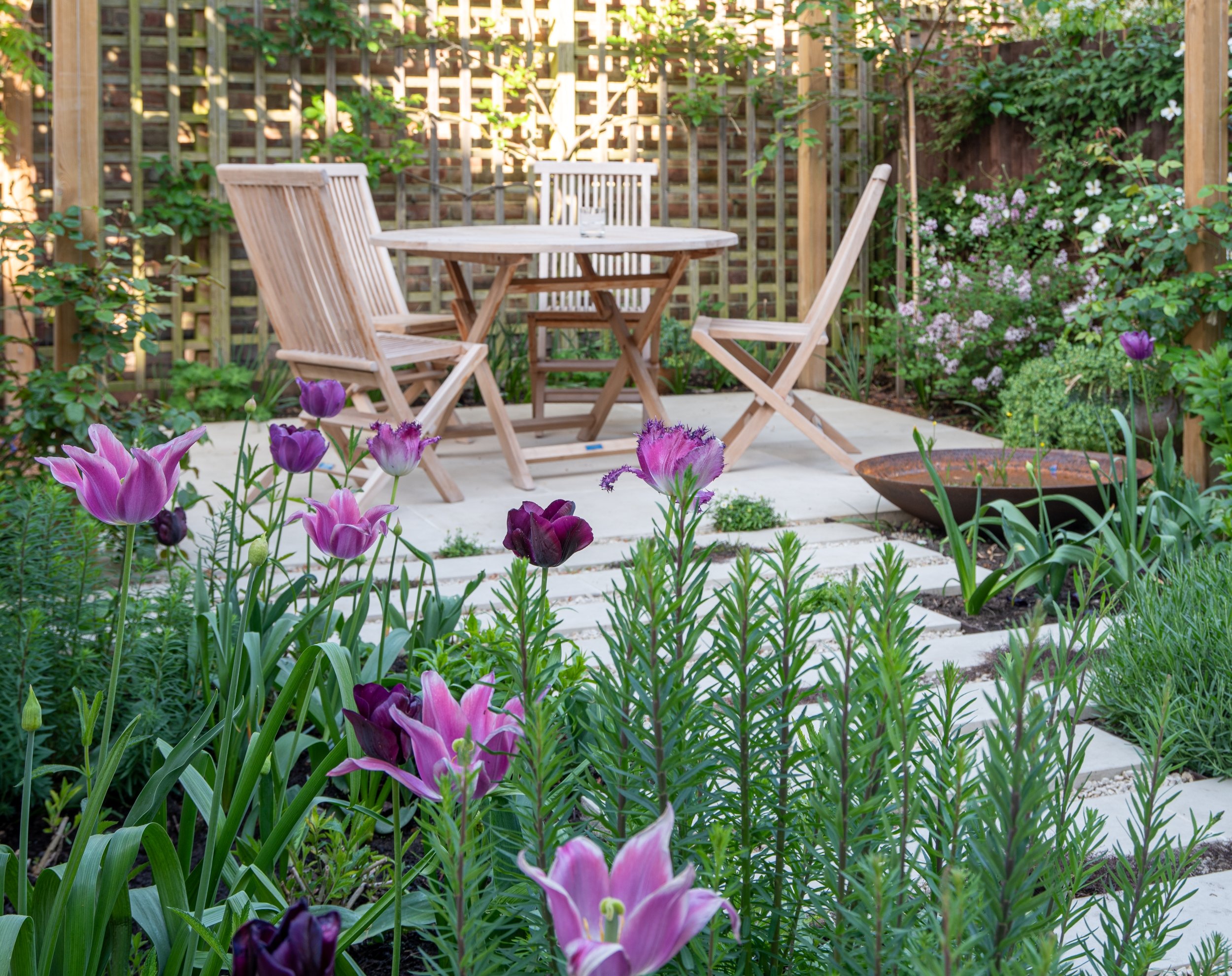 Purple parrot tulips with pergola dining area beyond, Wandsworth garden by Jane Shankster Garden Design

Frilled purple and pink parrot tulips take centre stage in spring, with a corten steel water bowl and the timber pergola's dining set visible bey