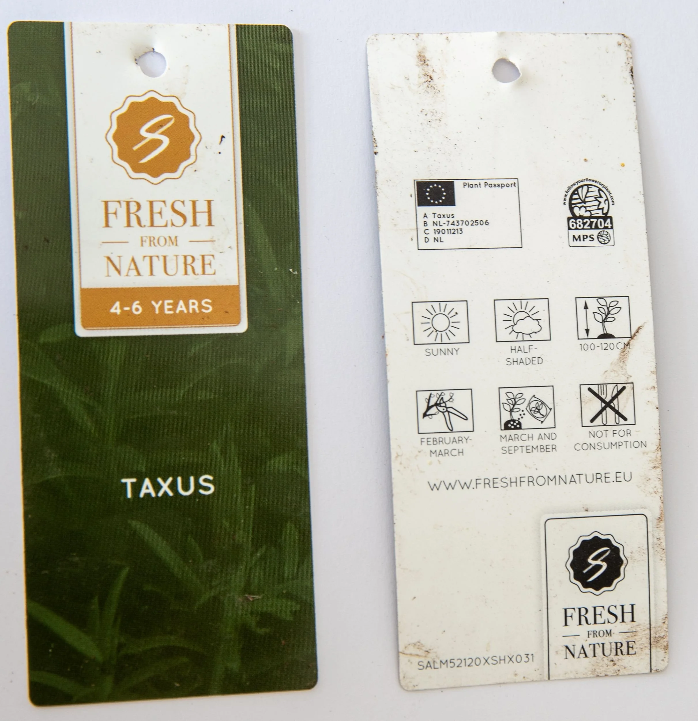 A plant label for Taxus (yew) showing sunny and half-shaded symbols, height, pruning and feeding times