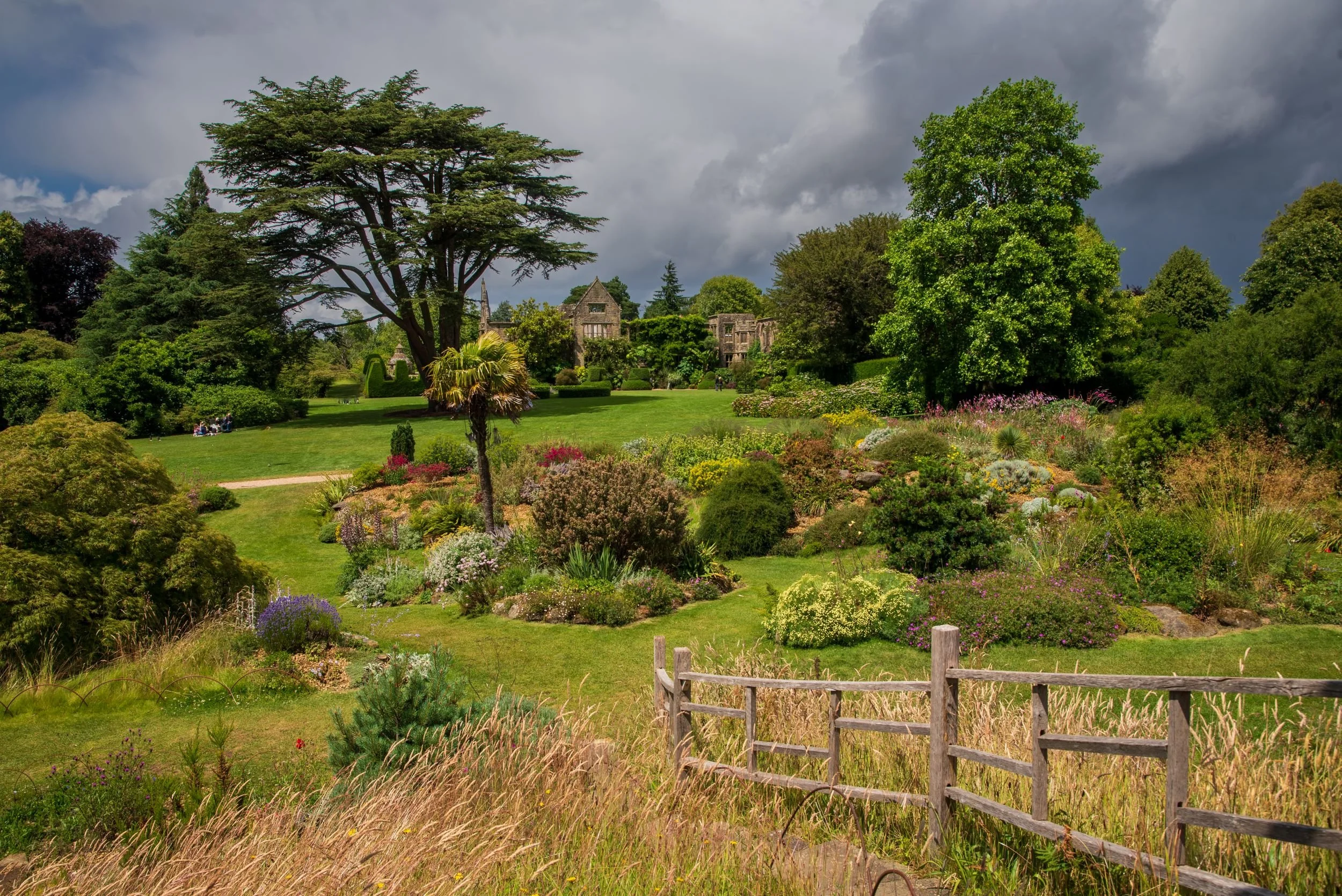 Wide view across the lawn at Nymans towards the house, framed by a cedar of Lebanon and a colourful mixed border in the foreground.