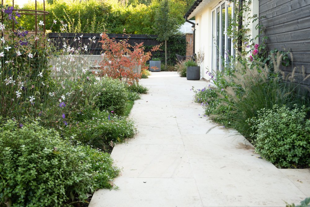 A stone terrace path runs between lush mixed borders in an autumnal Surrey country garden, with an autumnal Amelanchia, white gaura, purple clematis and ornamental grasses catching the late season light. ArthurRoadLandscapes.co.uk.

This late-season 