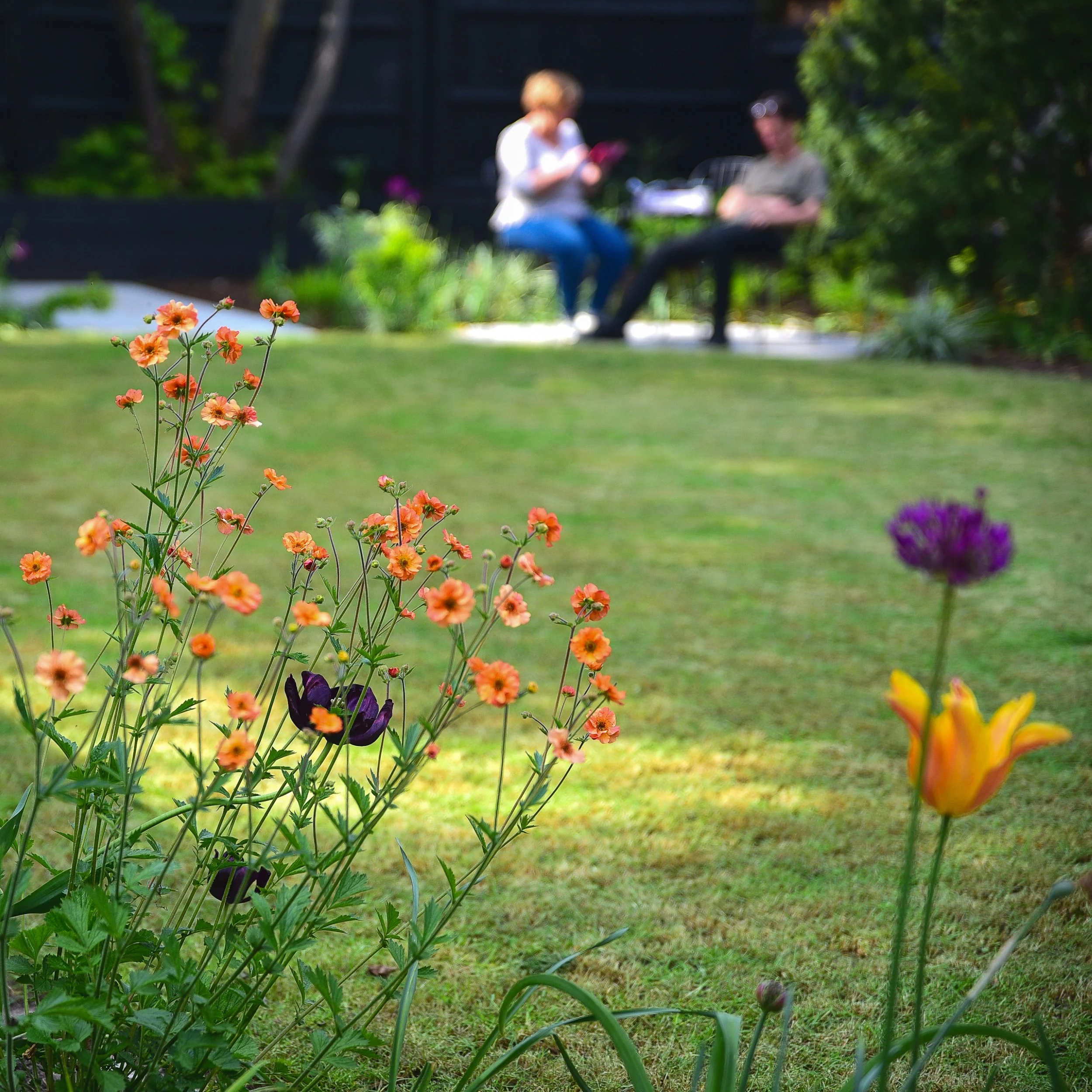 Orange geum border with people relaxing on lawn, Wimbledon garden by Jane Shankster Garden Design

Orange geum flowers dance in the foreground while two people relax together across the lawn, illustrating how this Wimbledon garden was designed for en