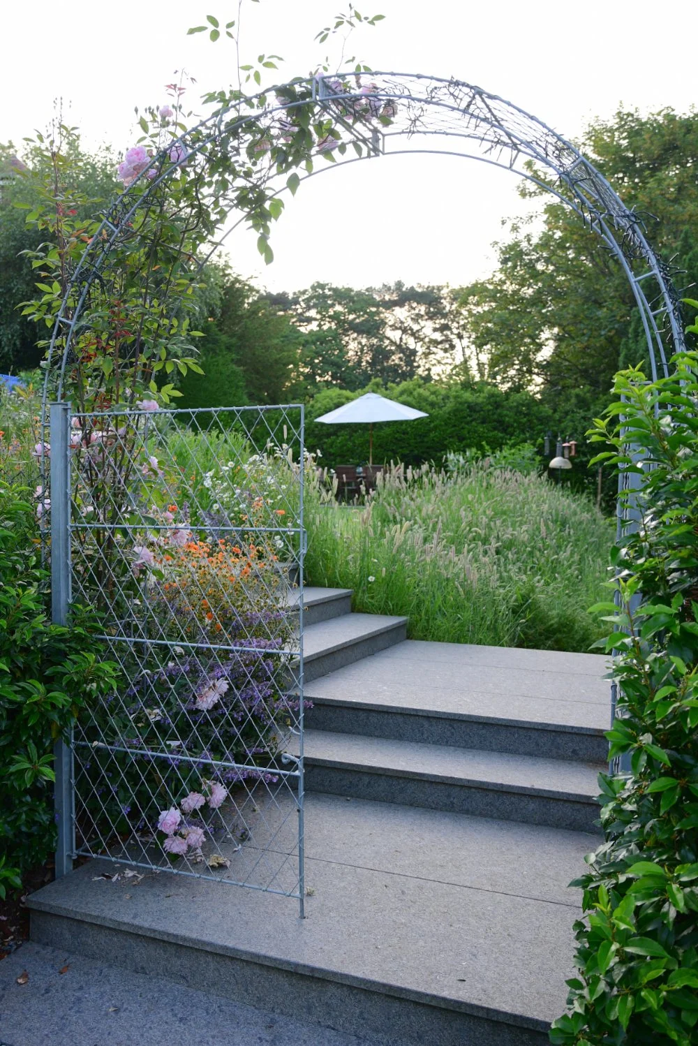 A metal arch dressed with climbing roses frames a flight of steps leading up into a Raynes Park terraced garden. JaneShanksterGardenDesign.co.uk.

This rose-clad arch marks a clear threshold in the garden, its climbing roses just starting to scramble