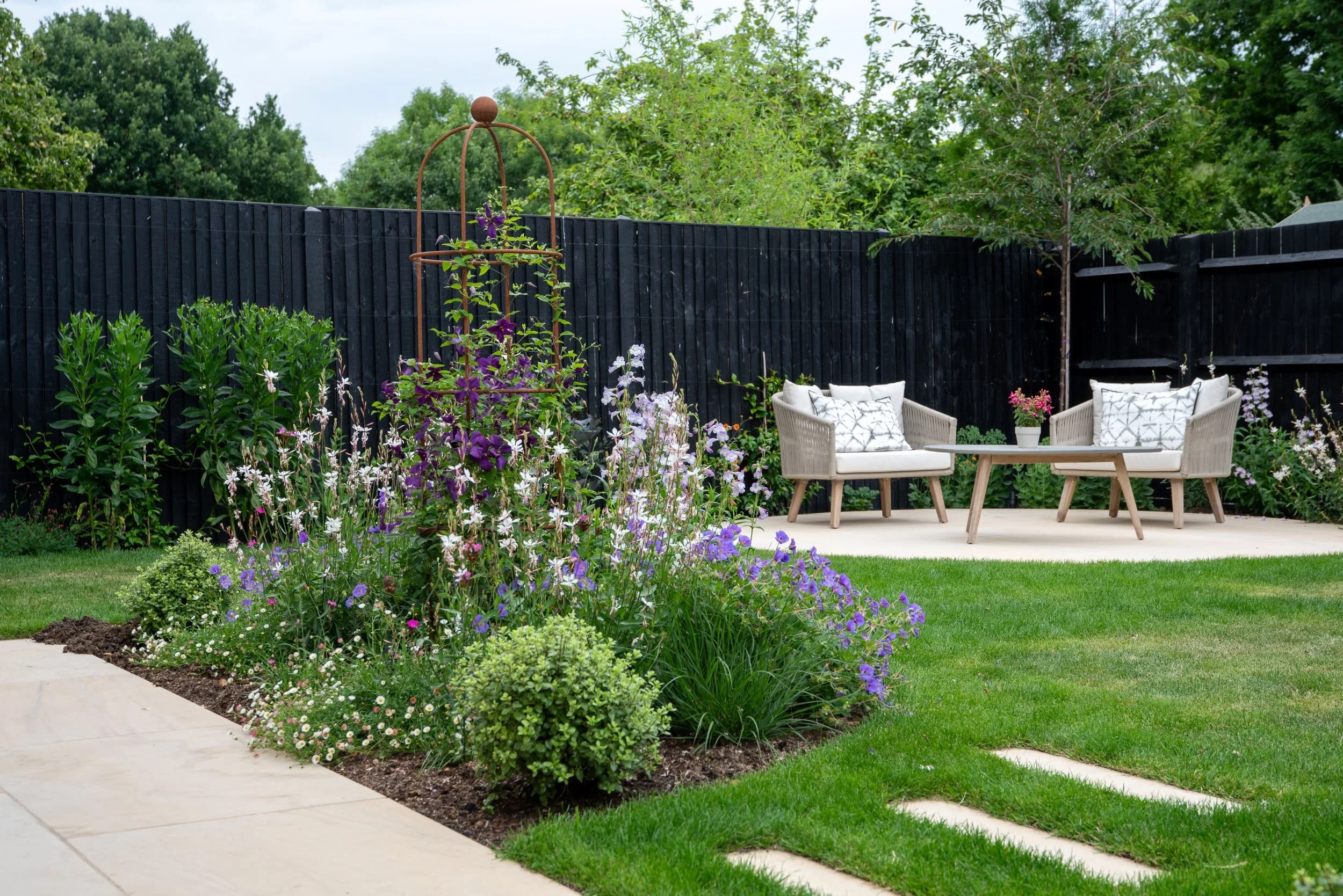 Fully established garden border in its third summer with echinacea, purple geraniums and ornamental grasses in front of a clipped pittosporum ball.