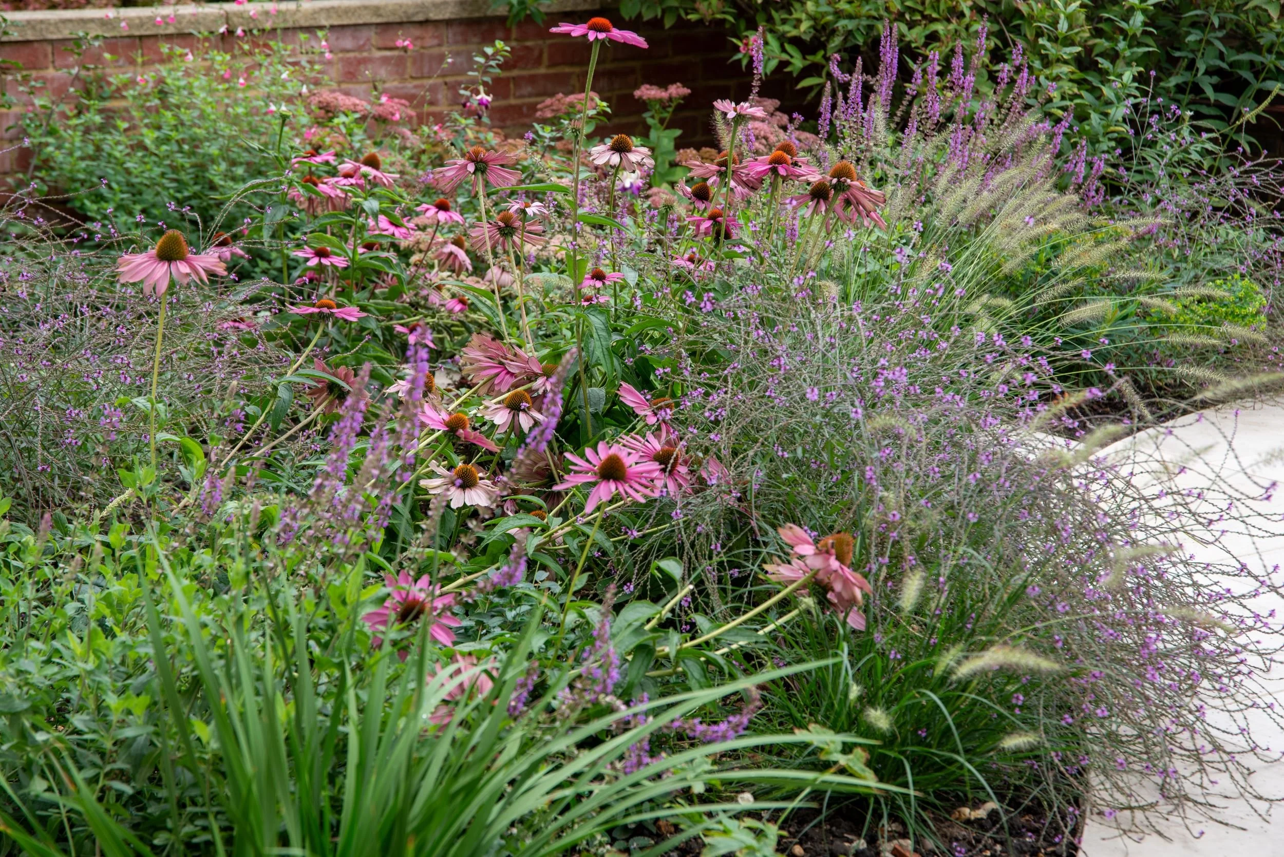 Coneflowers, salvia and grasses planted along a brick garden wall in Wandsworth. Designed by JaneShanksterGardenDesign.co.uk

Coneflowers, salvia and grasses planted along a brick garden wall in Wandsworth. Designed by JaneShanksterGardenDesign.co.uk