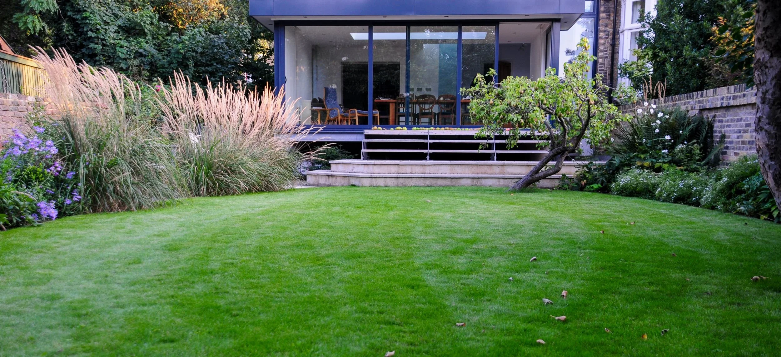A curving lawn edged with ornamental grasses leads to a modern glass extension in a London country garden, with a pear tree laden with fruit in the foreground. JaneShanksterGardenDesign.co.uk.

A sweeping curved lawn draws the eye towards a sleek, gl