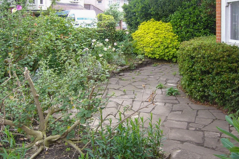 Old uneven crazy paving and scruffy overgrown shrubs dominated this front garden in Wimbledon Village.

A scruffy front garden didn't suit this elegant Edwardian house in Wimbledon Village, redesigned by Jane Shankster Garden Design