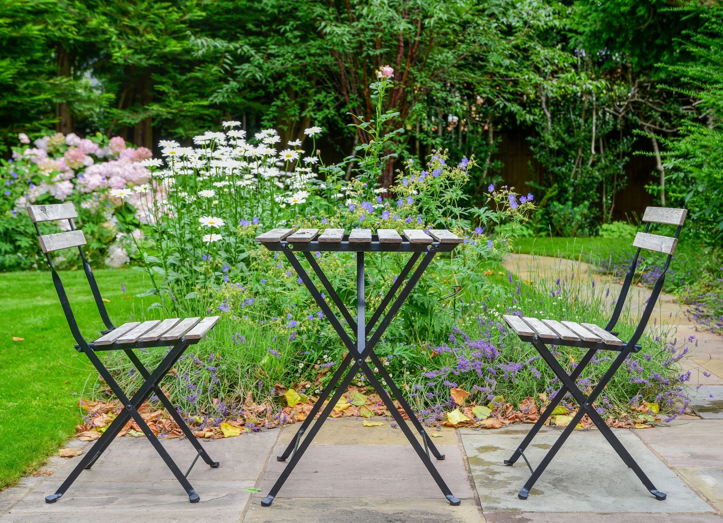 A bistro table and chairs are framed by hydrangeas, roses and daisies in a Wimbledon Common garden. JaneShanksterGardenDesign.co.uk

Seen from a different angle, the terrace coffee spot is backed by soft pink hydrangeas, shasta daisies and a climbing