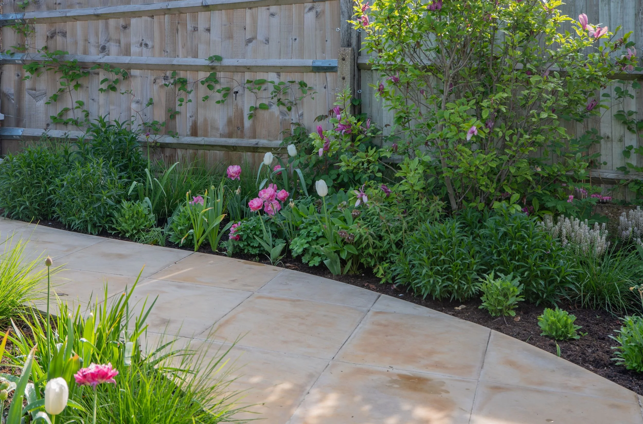 A Raynes Park front garden border planted with tulips, tiarella and climbers trained along a timber fence. JaneShanksterGardenDesign.co.uk

Layered planting along the fence line combines pink and white tulips, frothy tiarella spikes and climbers trai