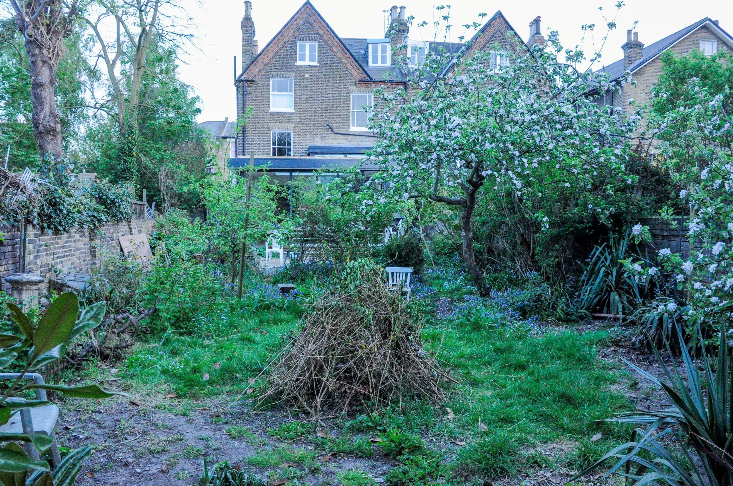 An overgrown London garden with a pile of cut branches and untended borders, photographed before its redesign. JaneShanksterGardenDesign.co.uk.

This is the garden before any work began: overgrown borders, a pile of cut branches waiting to be cleared