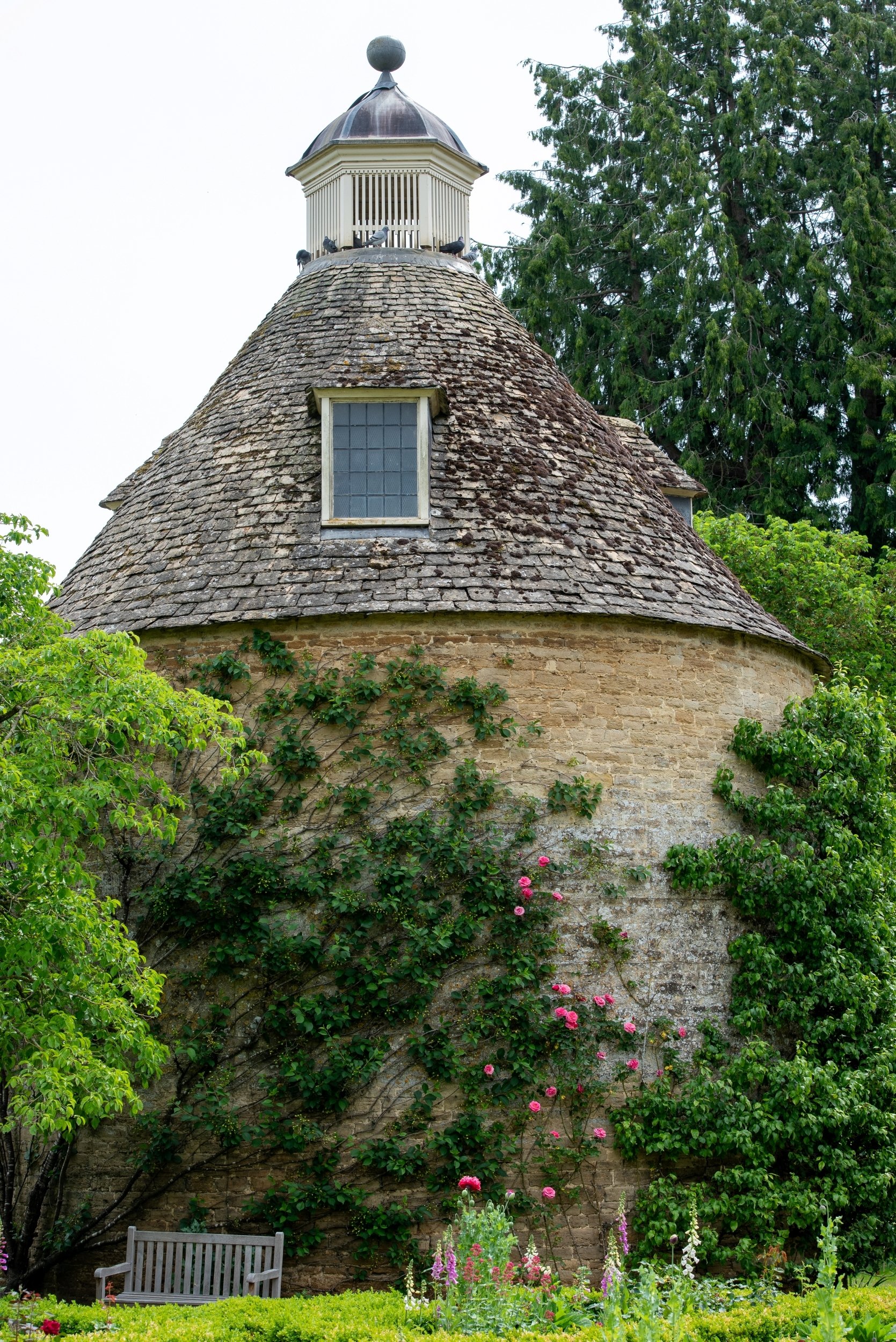 The round stone pigeon house at Rousham with a copper-domed cupola, climbing roses on its walls, and foxgloves and a bench in the foreground.