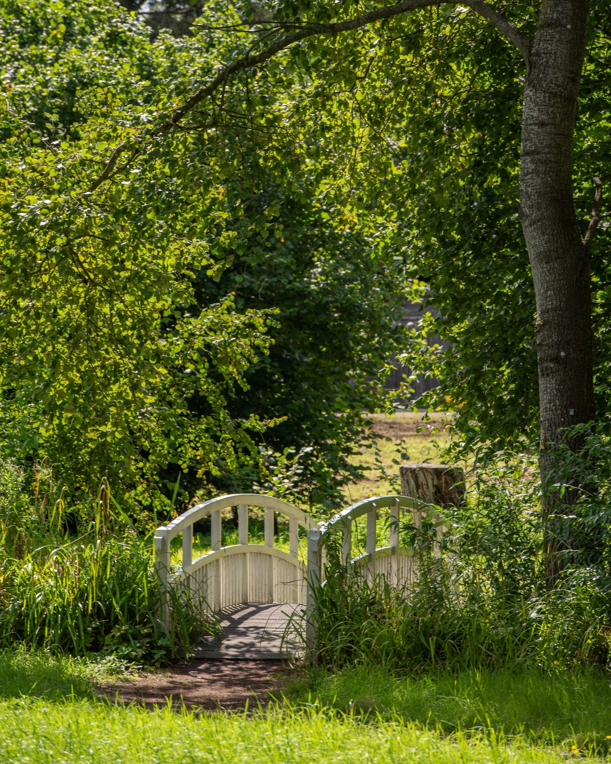 A small white footbridge crosses a stream at Waterperry Gardens, framed by overhanging trees and lush planting.