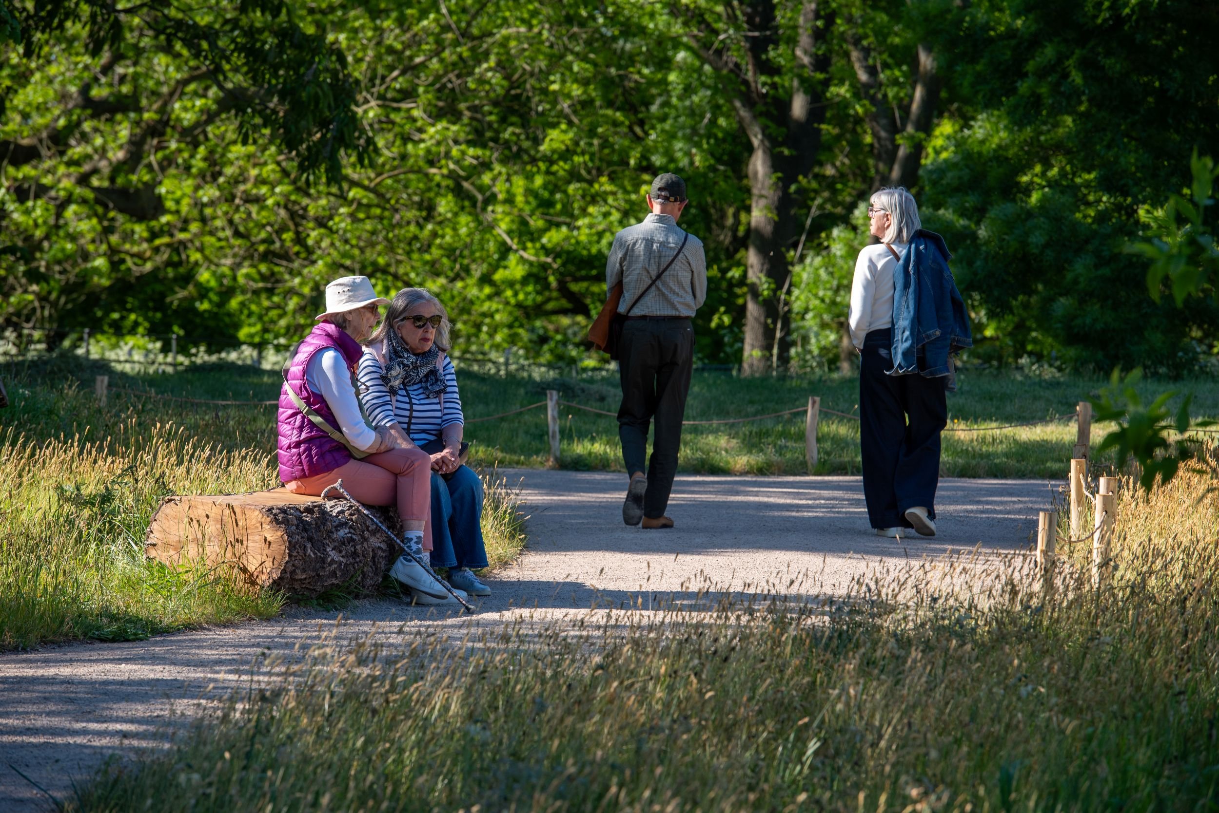 Visitors resting on a carved log seat and walking along a gravel path in the Queen Elizabeth II Garden