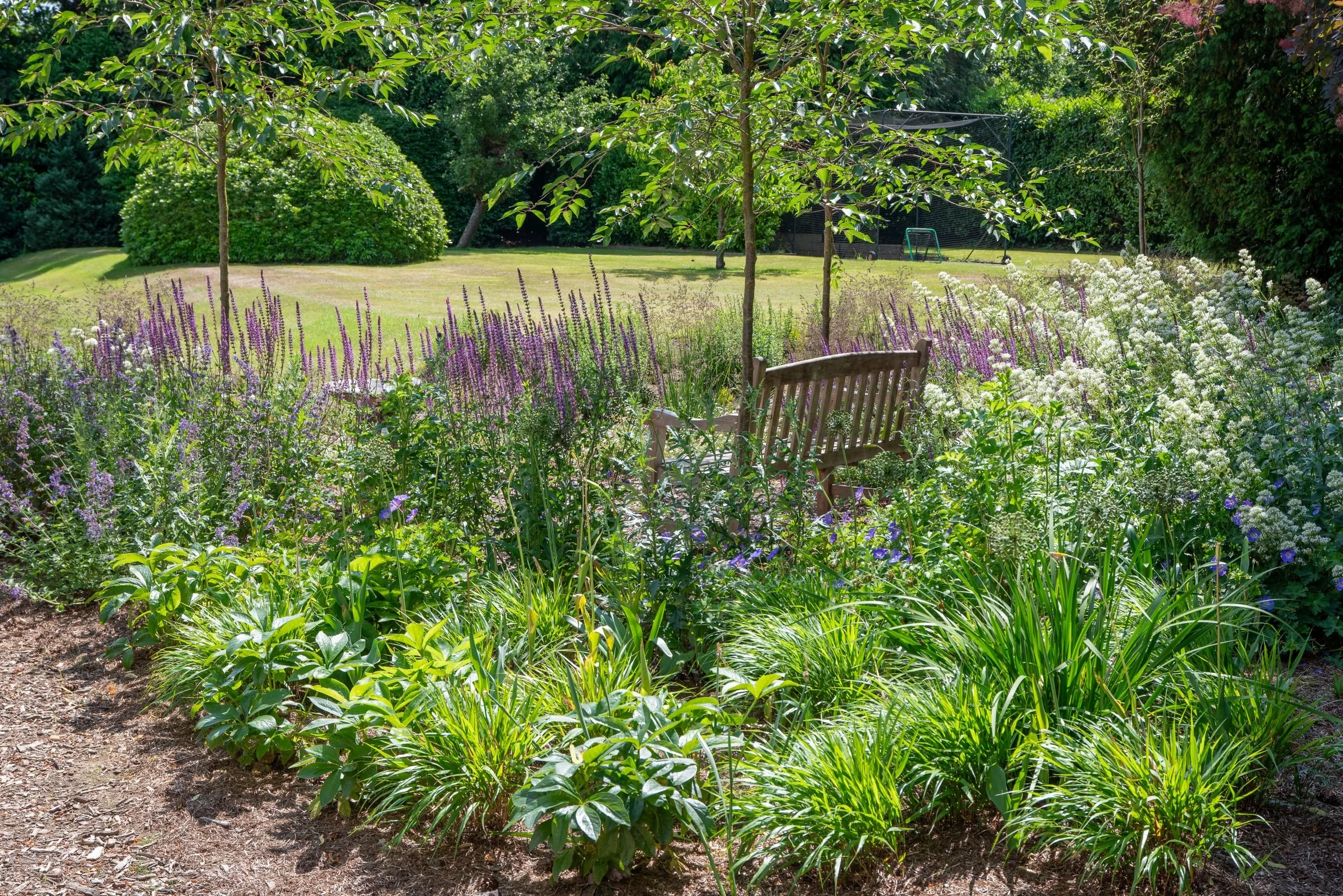 Surrey nature garden 17 Arthur Road Landscapes.jpg