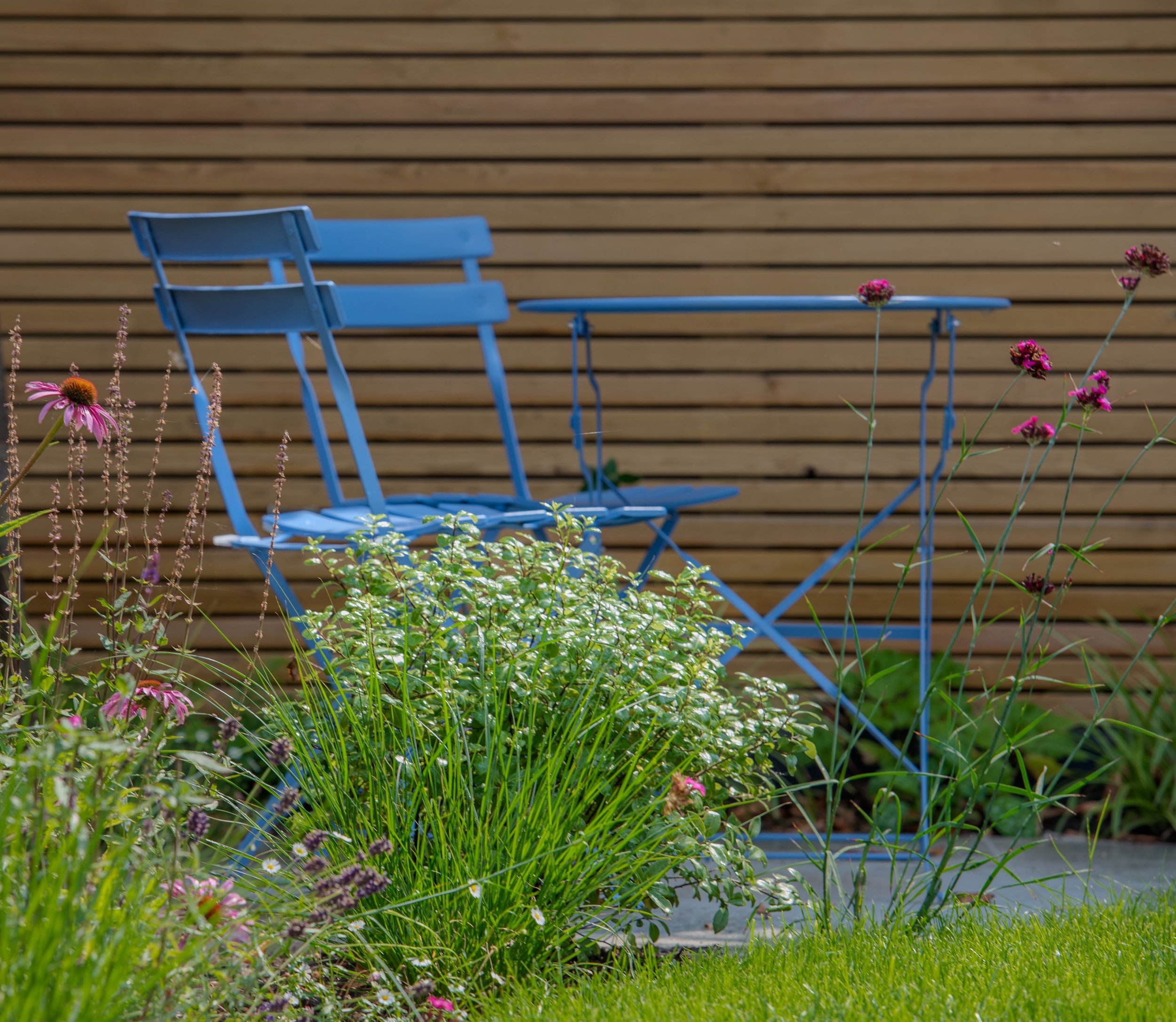 Blue bistro chair and table framed by echinacea and grasses in property development garden

A powder-blue bistro chair and table peek through a soft planting border of echinacea, verbena and ornamental grasses, set against warm cedar slat fencing. Th