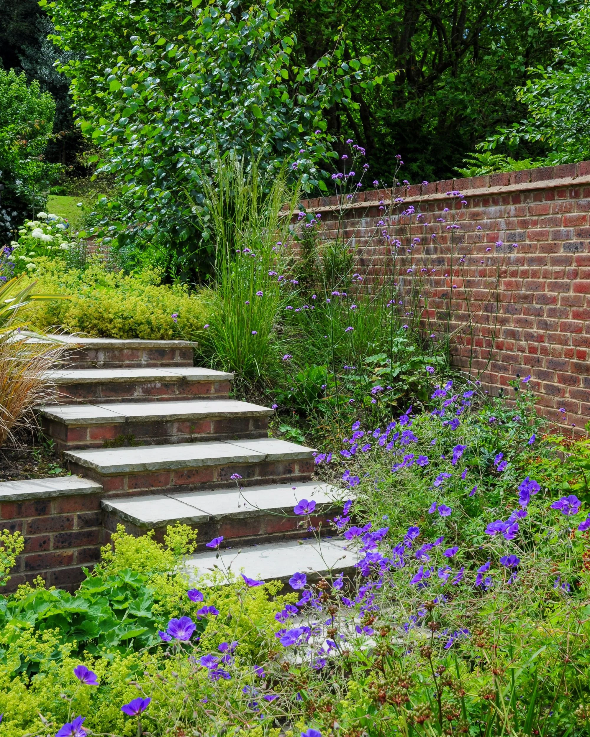 Stone steps set into a brick retaining wall are framed by lady's mantle and verbena bonariensis. JaneShanksterGardenDesign.co.uk

Pale stone treads rise through a brick retaining wall, softened by clouds of acid-green lady's mantle, tall verbena bona