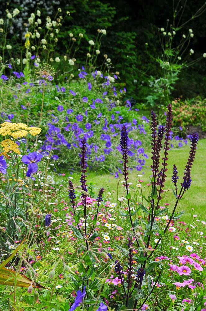 Surrey bee garden plants for pollinators Arthur Road Landscapes.jpg