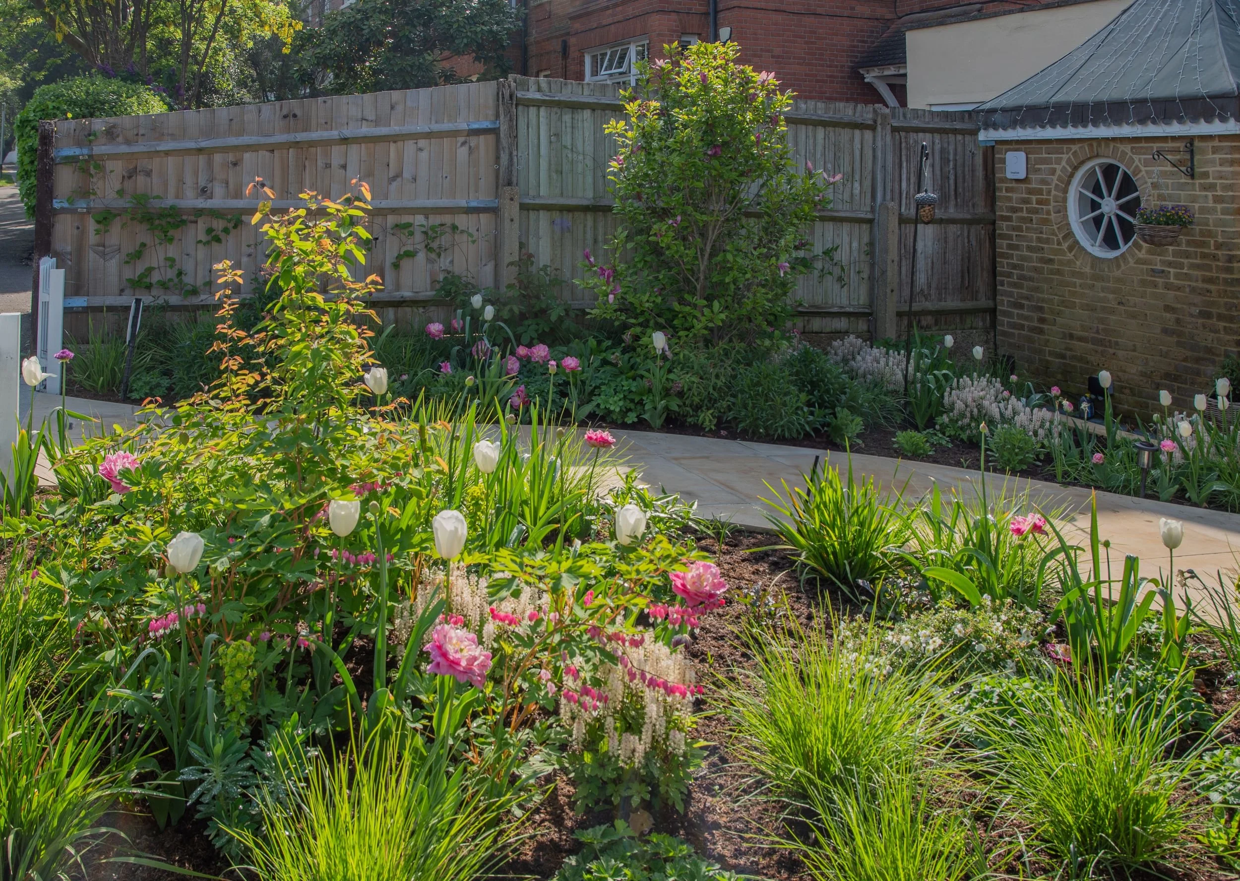 A wide view of a landscaped Raynes Park front garden, with a curved path, mixed borders and the house entrance. JaneShanksterGardenDesign.co.uk

A full view of the completed front garden design, showing how the curved sandstone path and richly plante
