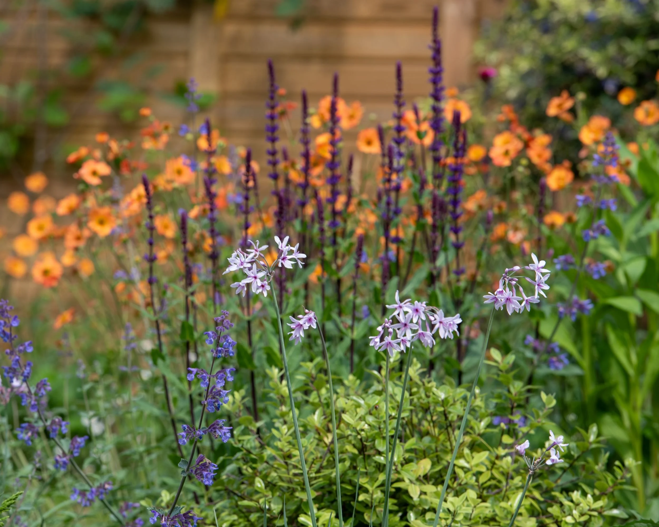 Wimbledon Flower and Vegetable Garden