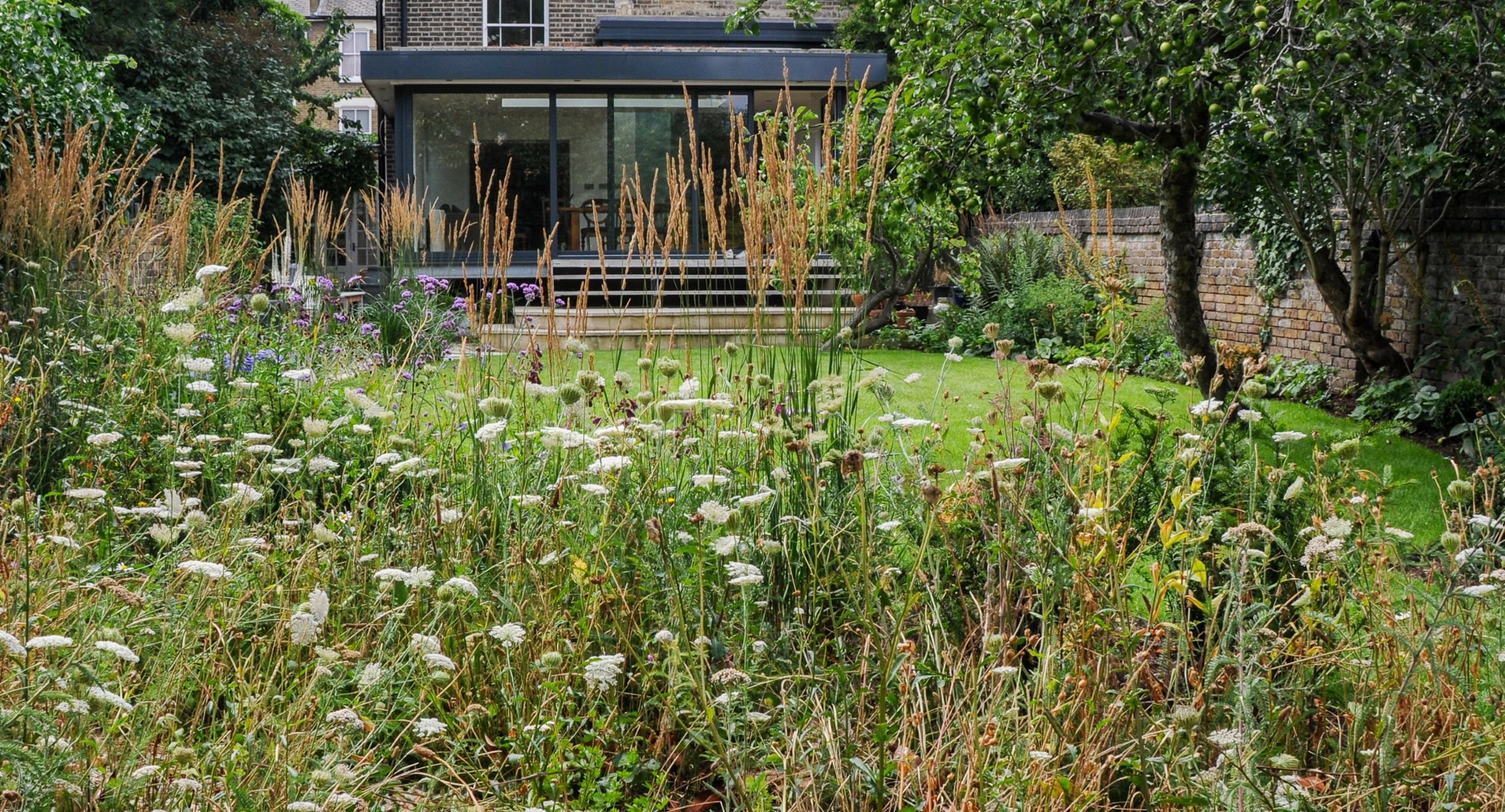 A tall wildflower border of wild carrot and grasses fills the foreground of a lawn leading to a London house. JaneShanksterGardenDesign.co.uk.

Lacy heads of wild carrot rise up through long grass in this border, almost obscuring the neat lawn and ho