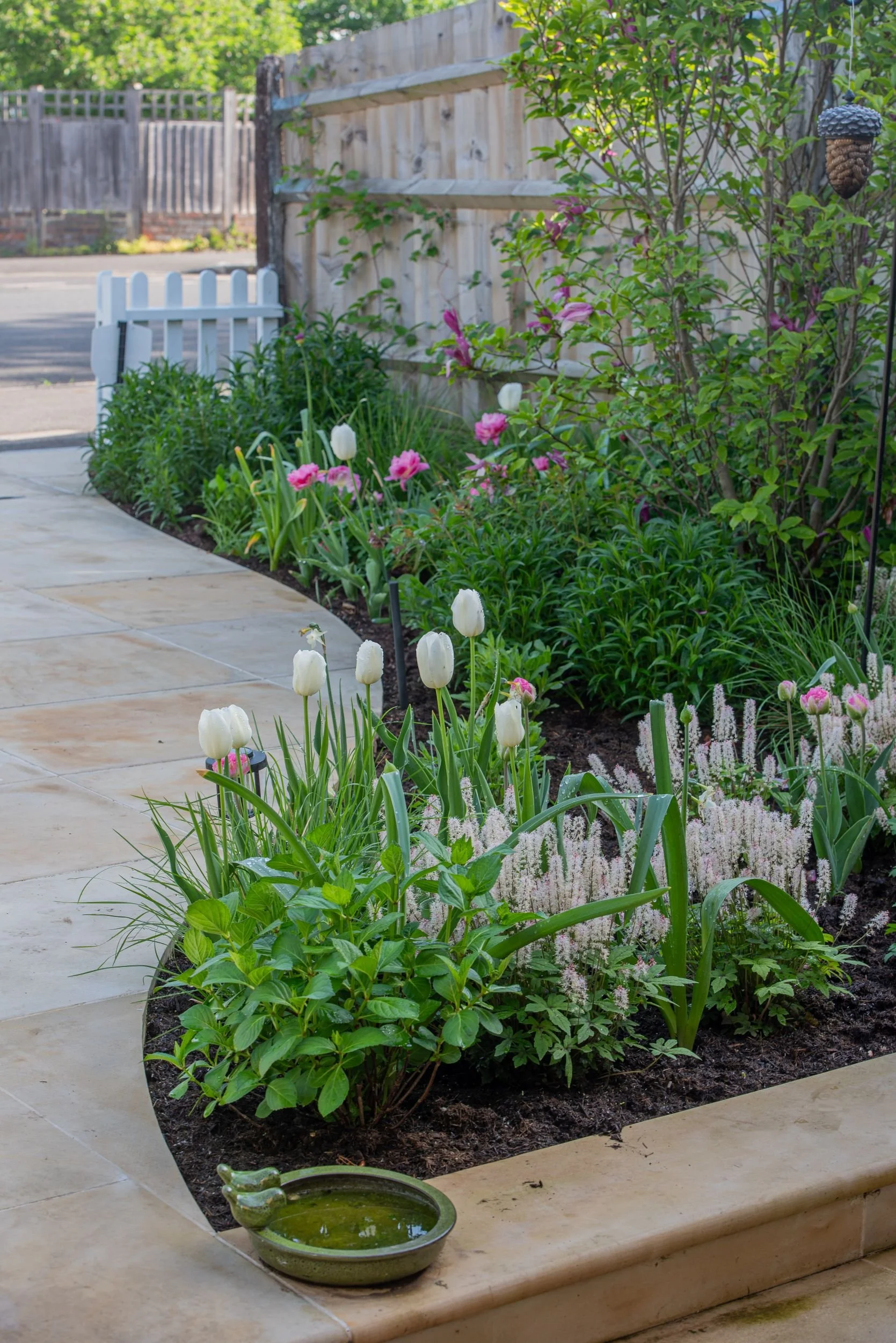 A curved sandstone path beside a tulip and tiarella border with a small bird bath in a Raynes Park front garden. JaneShanksterGardenDesign.co.uk

A small ceramic bird bath sits at the edge of the path, inviting wildlife into a border rich with tulips