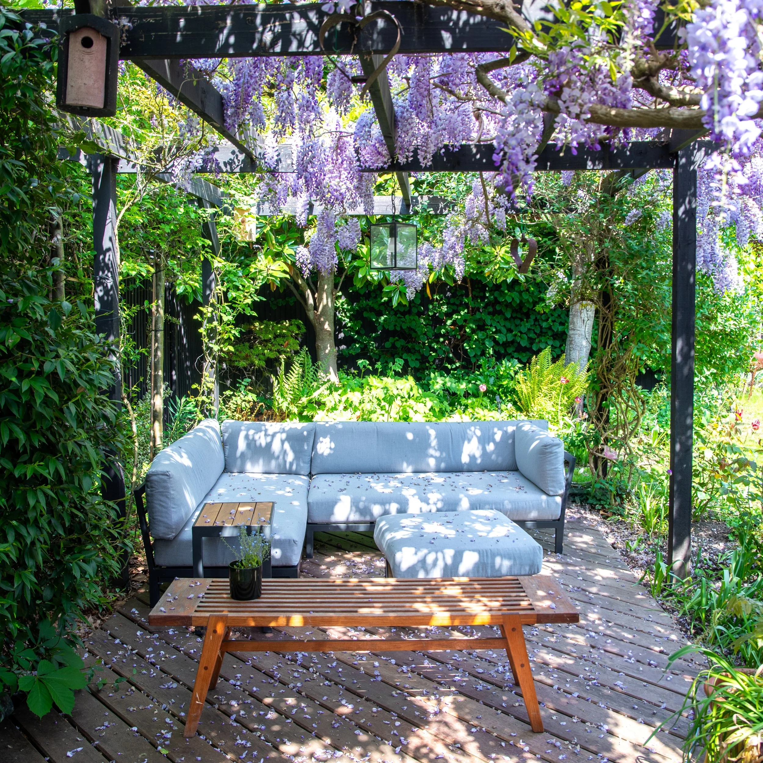Wisteria-covered pergola seating area in a Teddington garden design by Jane Shankster Garden Design

A tranquil corner of a Teddington garden, where a black timber pergola forms a shaded retreat beneath a spectacular curtain of flowering wisteria. So