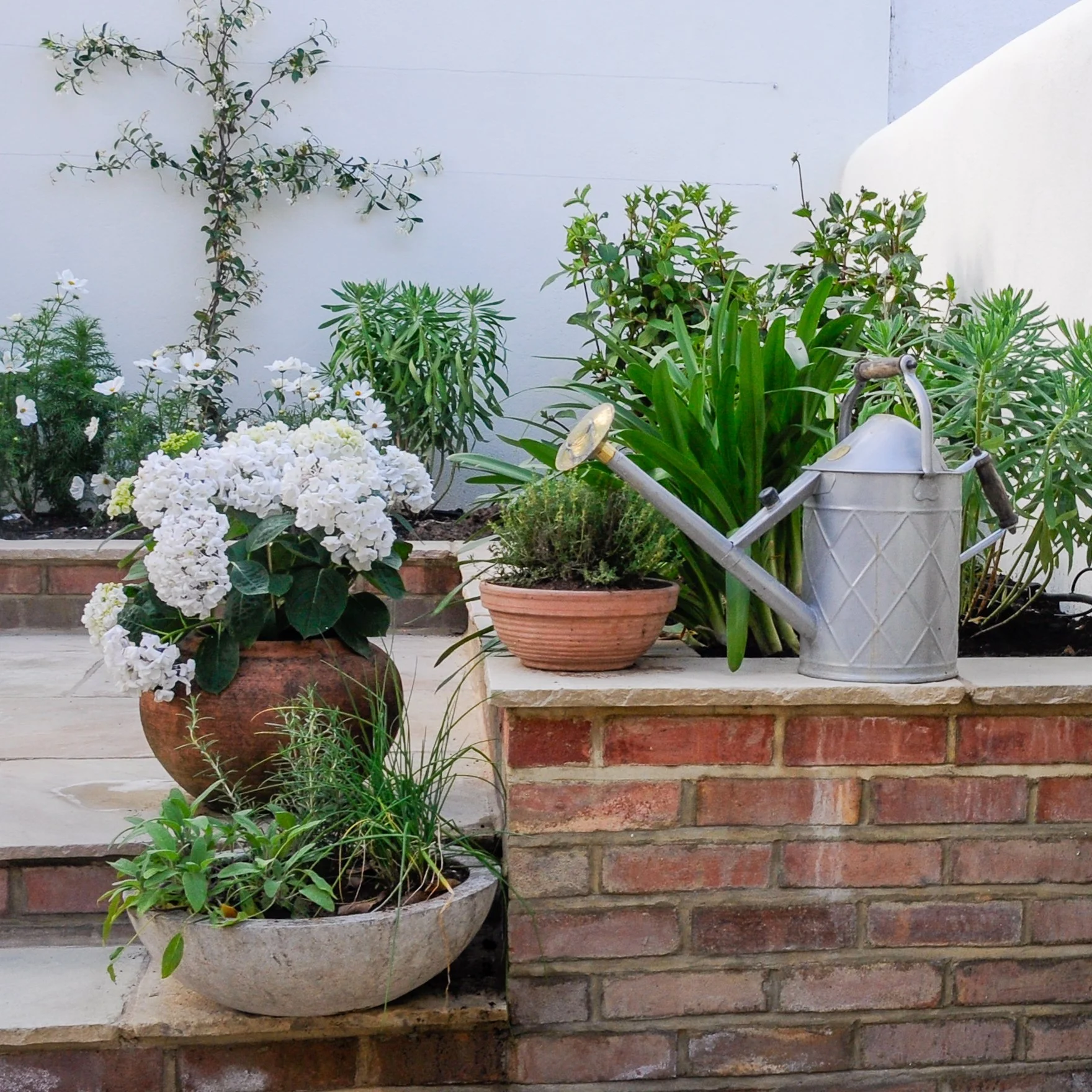 A terracotta pot of white hydrangea and a herb pot beside a vintage watering can on a brick wall

A terracotta pot of white hydrangea sits beside potted herbs and a vintage galvanised watering can, arranged along the top of a raised brick border in t