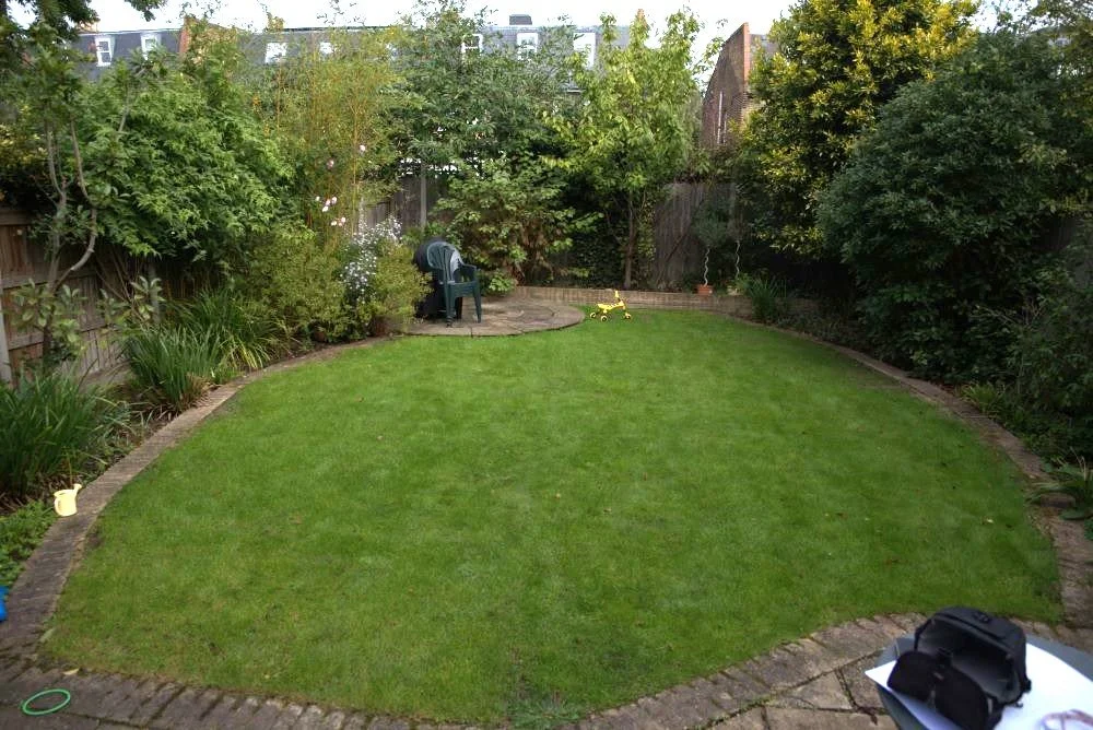 Plain oval lawn with sparse planting before garden redesign in Wimbledon

The garden before its transformation: a plain oval lawn edged in cracked paving, with a single seating spot and minimal planting — the starting point for this family garden red