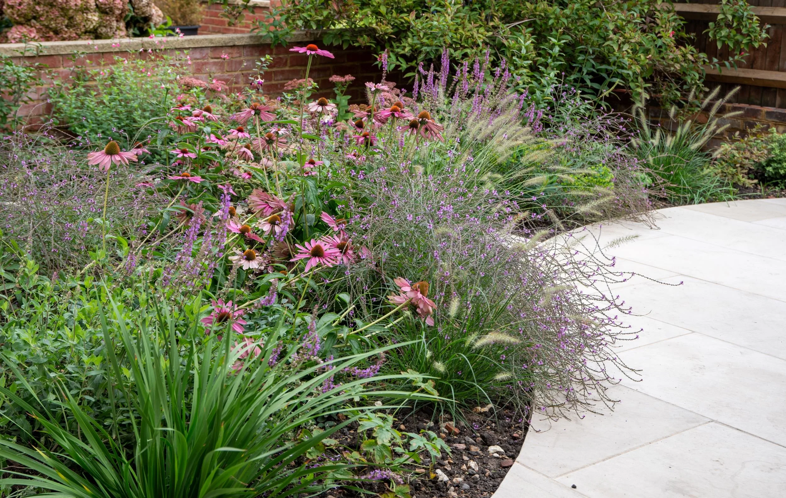 Pink coneflowers and ornamental grasses border a curved sandstone path in a Wandsworth front garden. Designed by JaneShanksterGardenDesign.co.uk

A richly planted border of echinacea, verbena bonariensis and pennisetum grasses softens the edge of a c