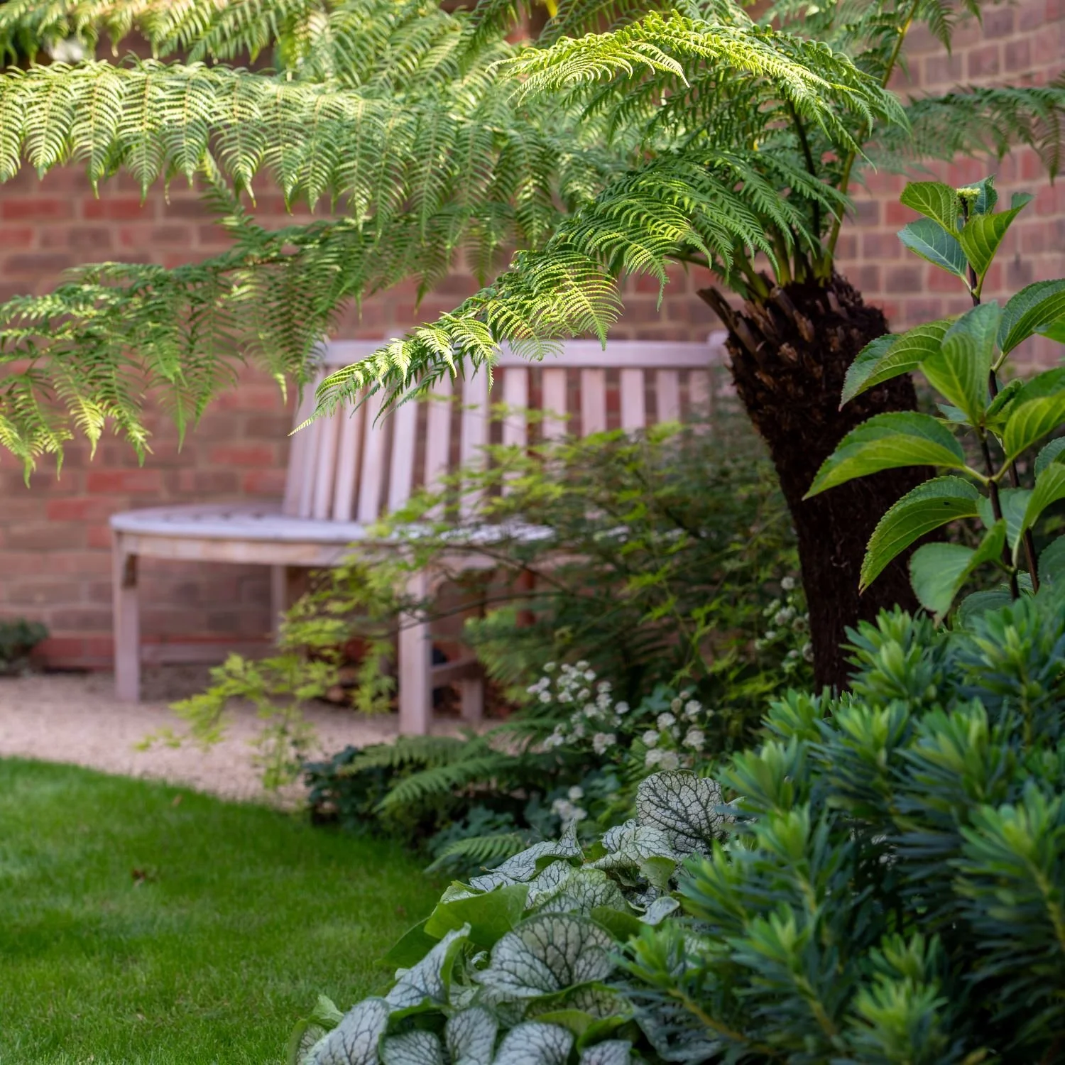 A lush tree fern arches over a weathered timber bench in a shaded Surrey country garden border, underplanted with brunnera, ferns and small white flowers against a red brick wall. ArthurRoadLandscapes.co.uk.

Tucked into a quieter, shadier corner of 
