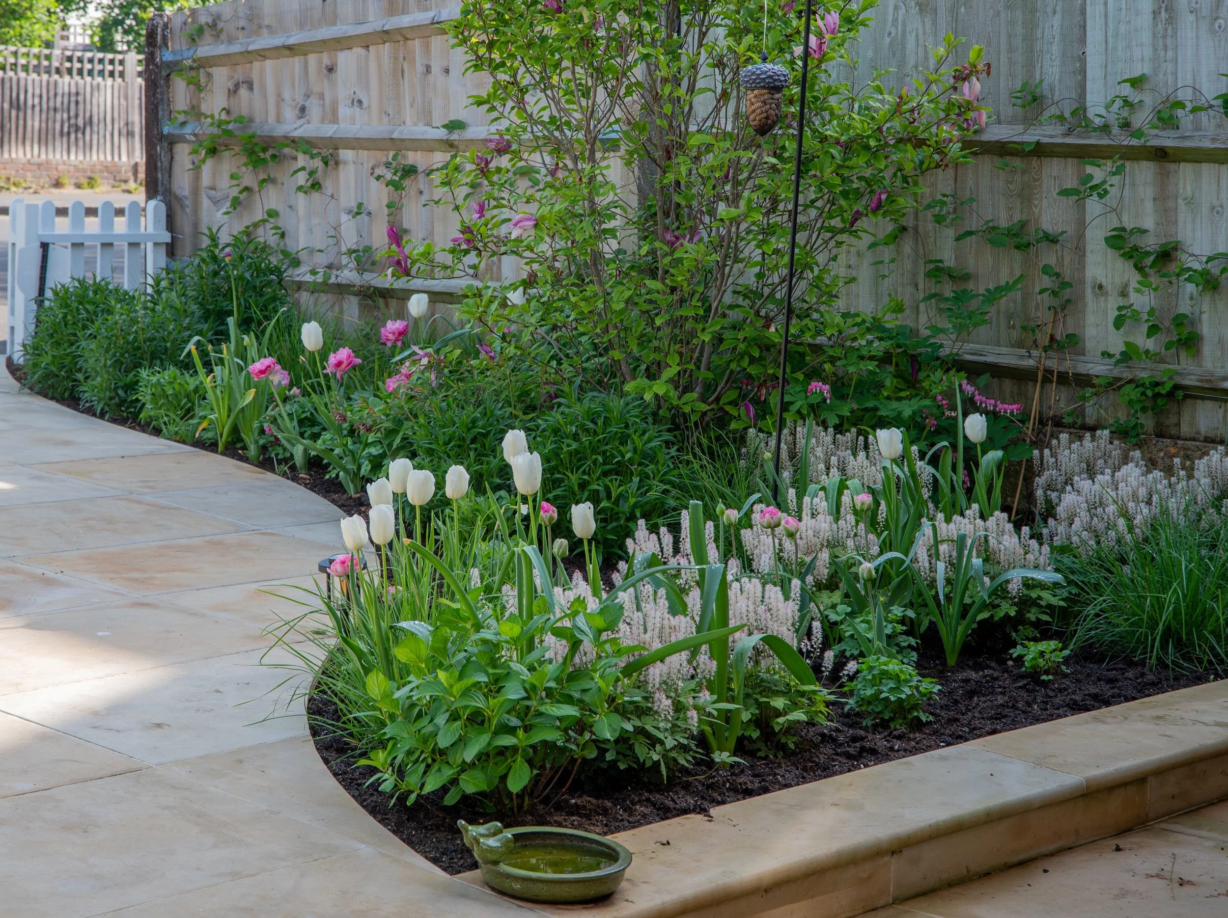 A curved path and layered border with tulips, tiarella and an acorn-shaped bird feeder in a Raynes Park front garden. JaneShanksterGardenDesign.co.uk

The path curves past a richly planted corner where magnolia, tulips and tiarella meet a decorative 