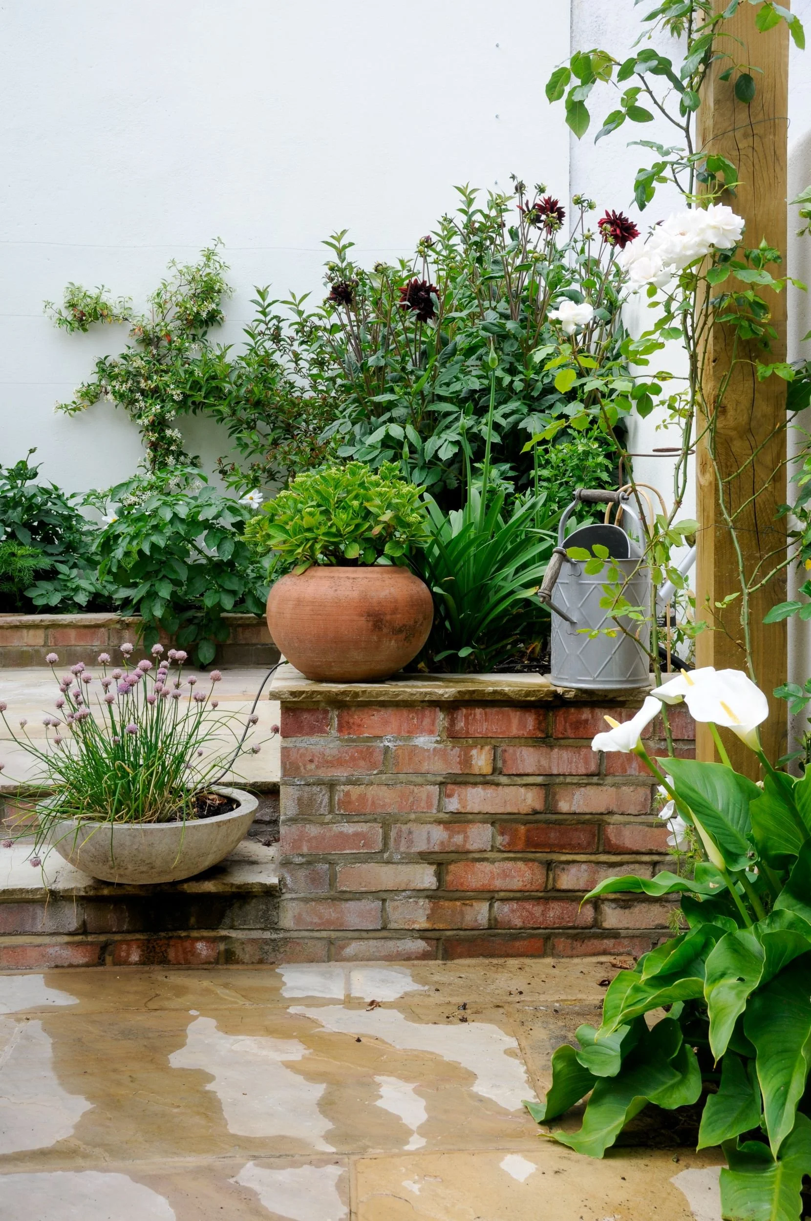 raised-brick-border-terracotta-pots-balham-garden.jpg.jpg