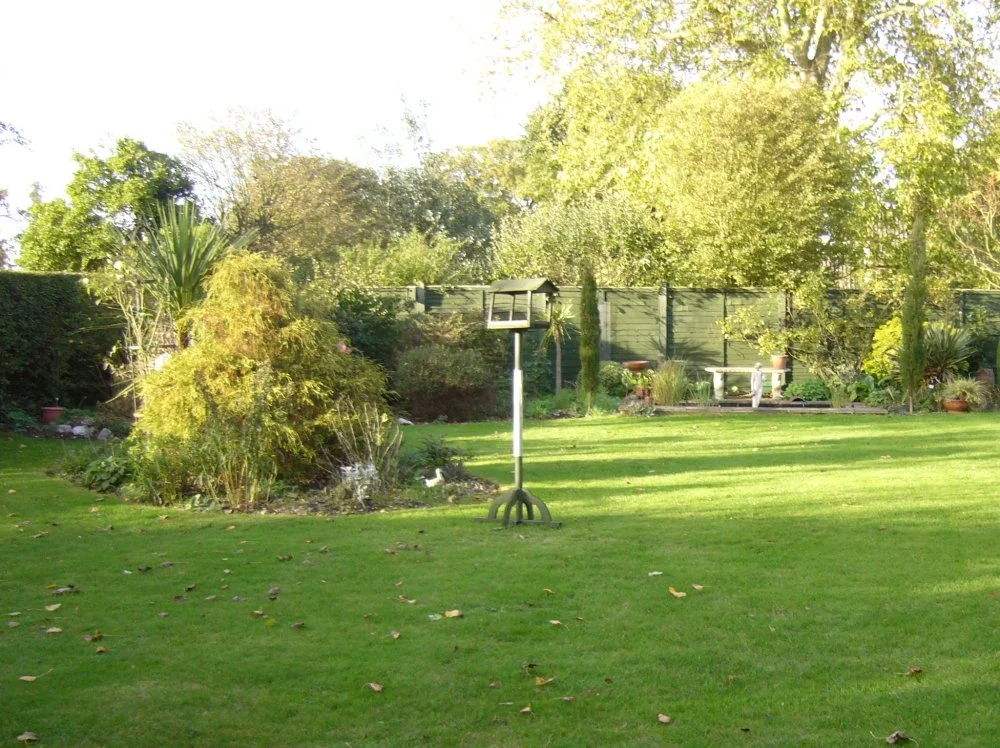 A plain lawn with a simple bird table and mixed shrub border, showing a Berkshire country garden before its redesign. JaneShanksterGardenDesign.co.uk.

This is where it all started: an open, uneventful lawn with a bird table as its main focal point a