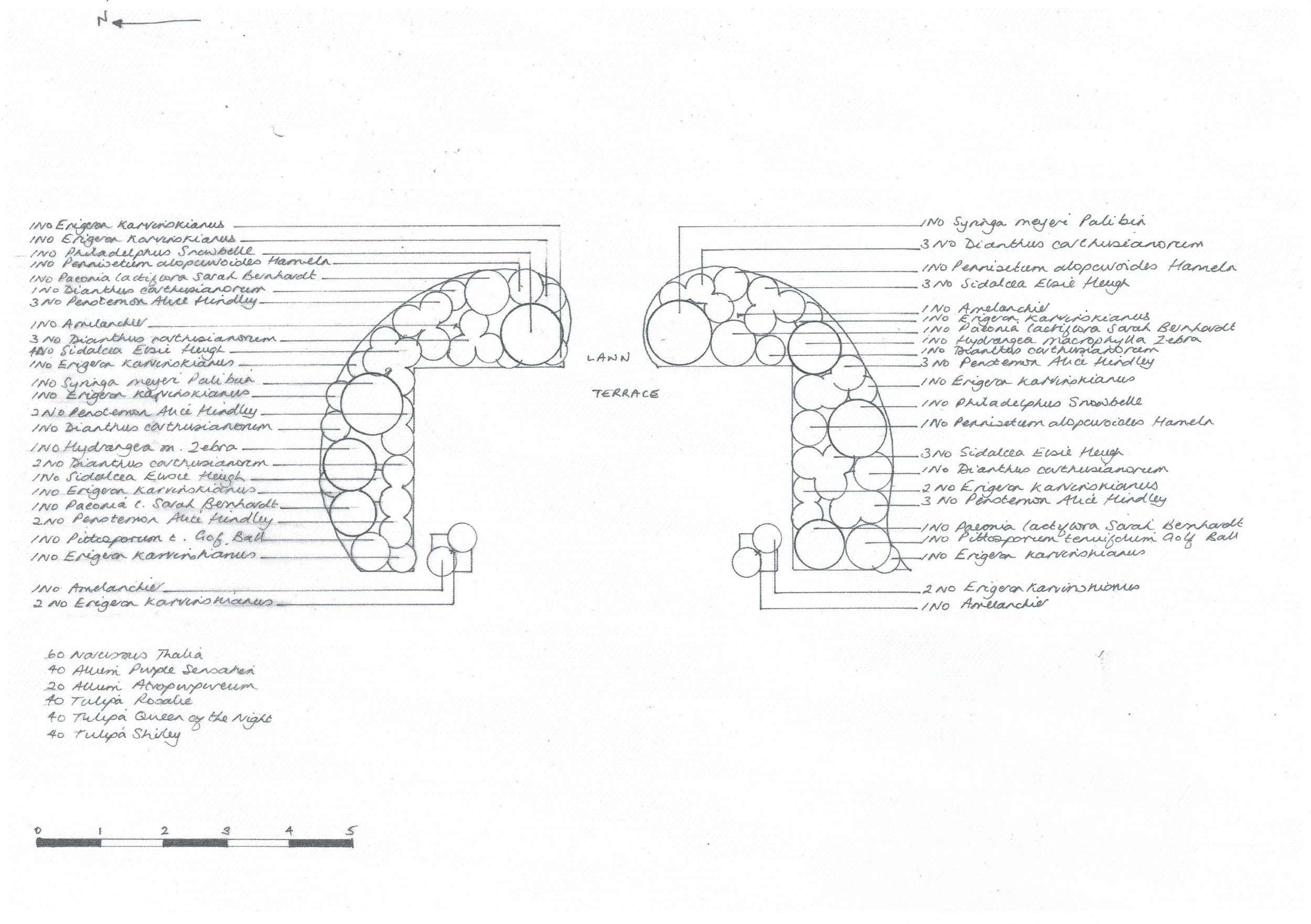 Hand-drawn planting plan with plant names and quantities marked out for the borders either side of the terrace.
