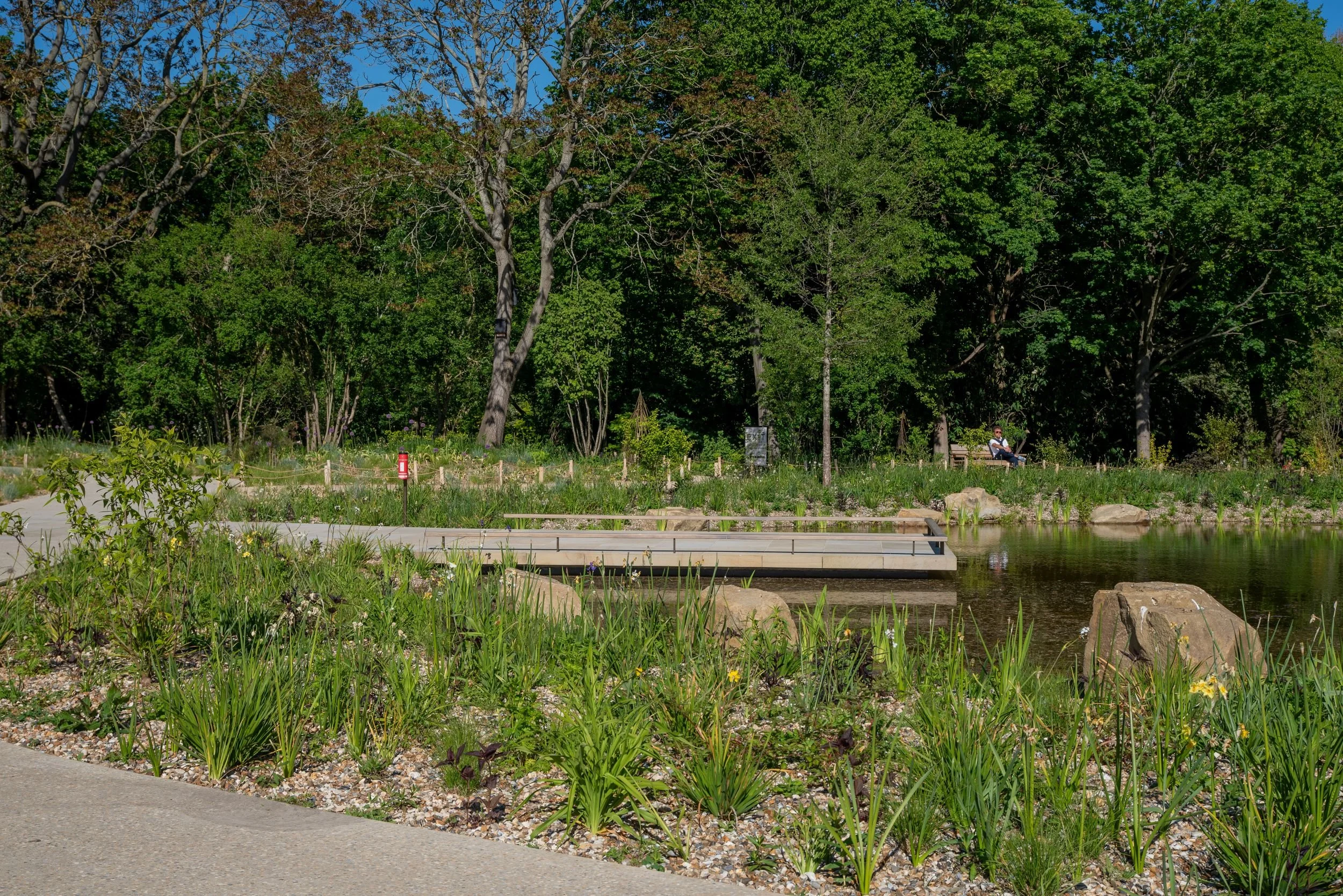 Timber boardwalk crossing a naturalistic pond surrounded by marginal planting in the Queen Elizabeth II Garden
