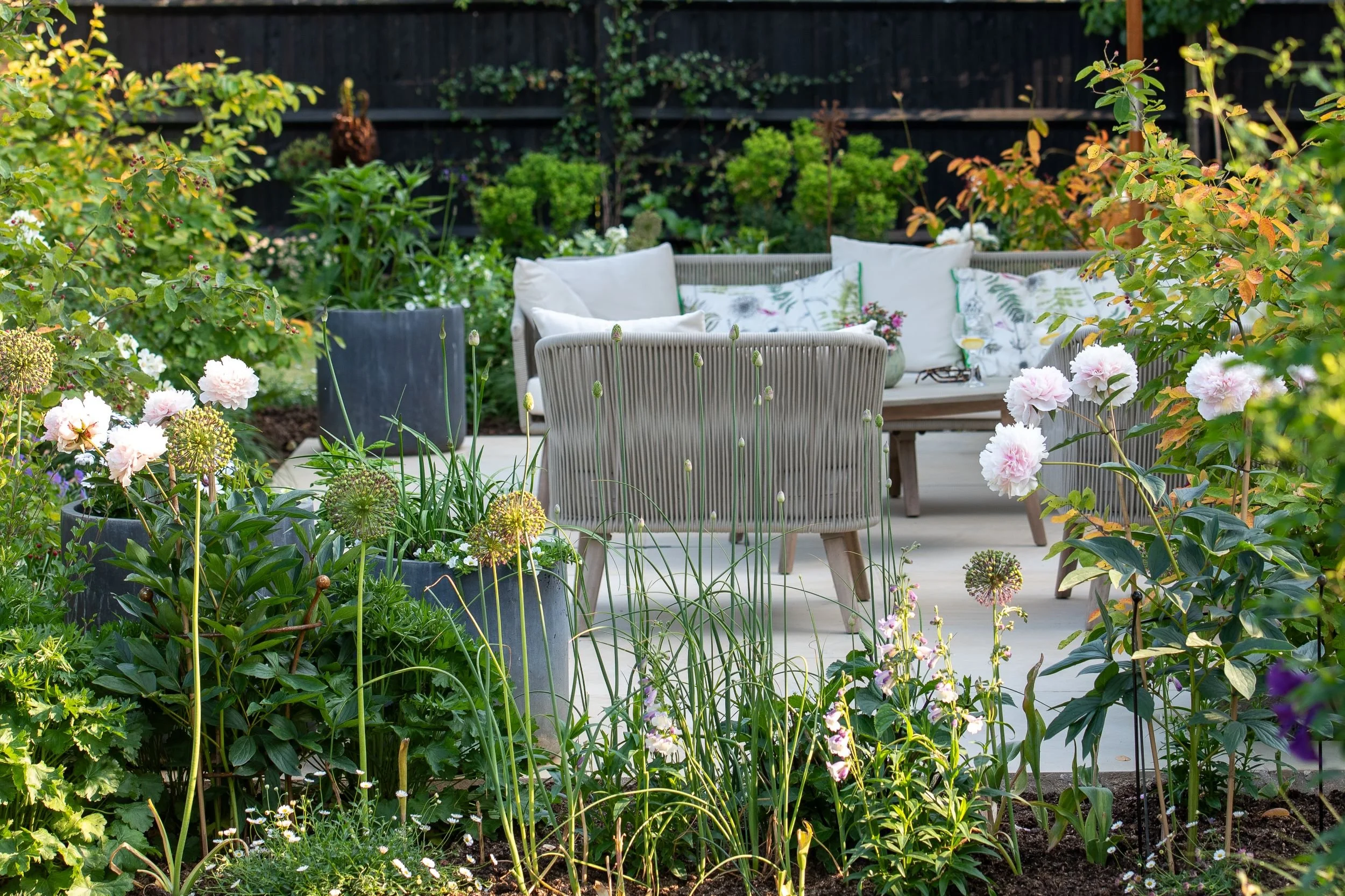Lush garden border in its second summer with pink peonies, ornamental alliums and grasses framing a wicker sofa on the terrace.