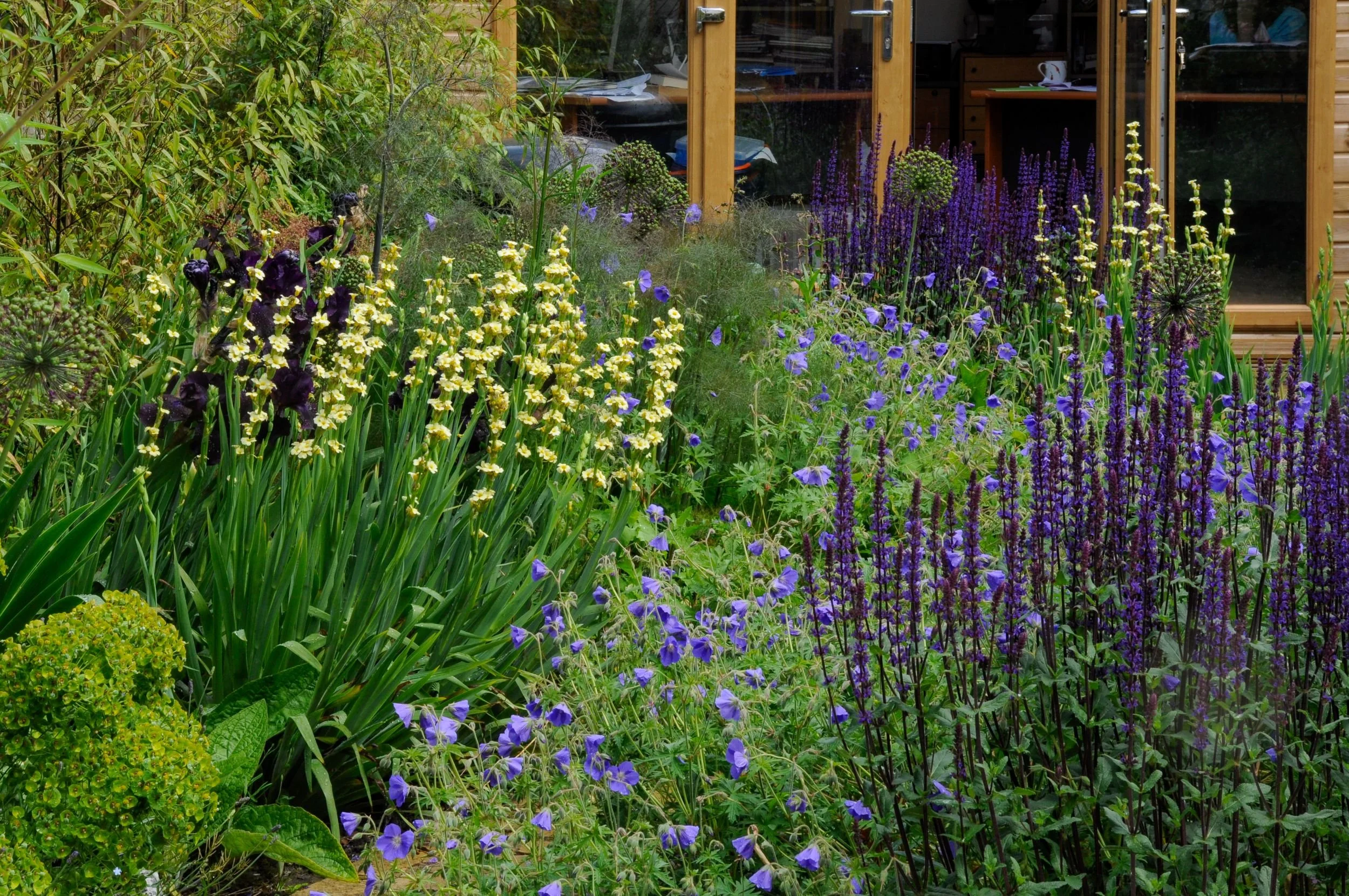Chiswick Low-Allergen Town Garden