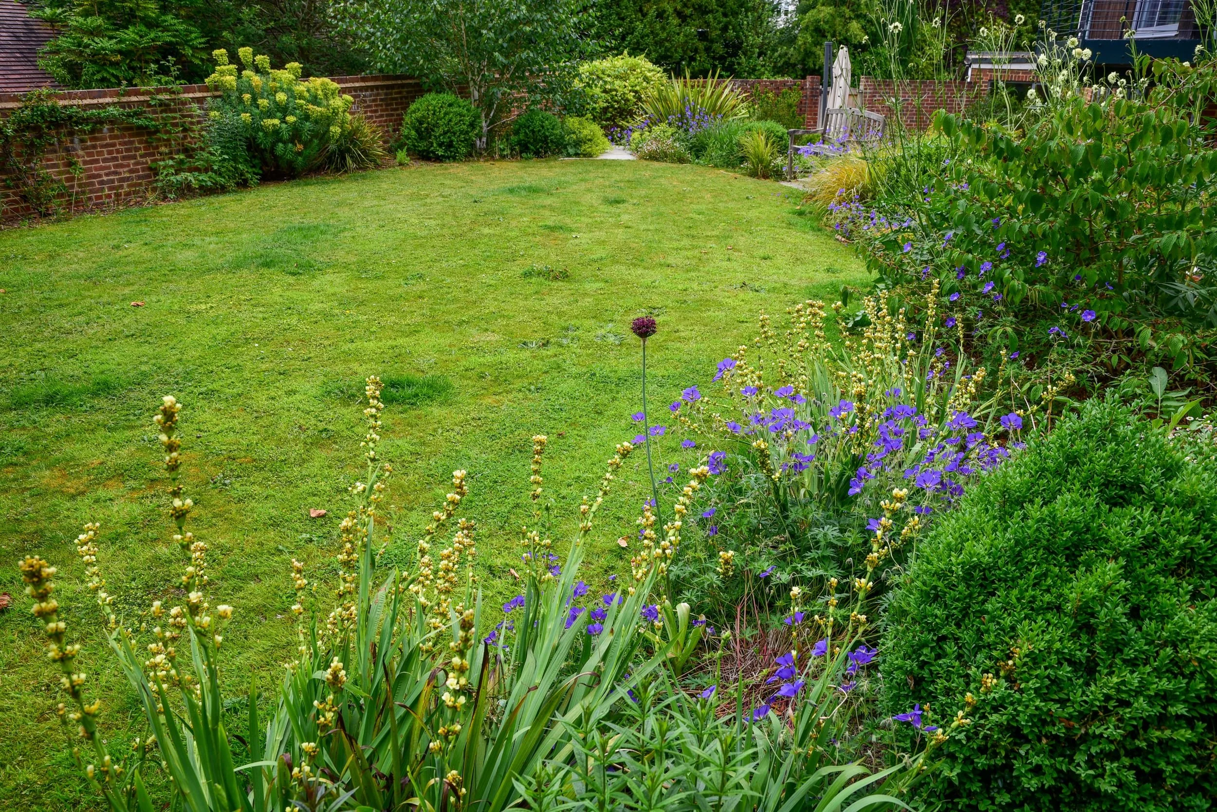 A sweeping elliptical lawn is framed by pollinator-friendly borders in a Surrey garden. JaneShanksterGardenDesign.co.uk

A generous oval lawn curves between deep borders packed with euphorbia, geraniums and foxtail lilies, with a timber gate and benc