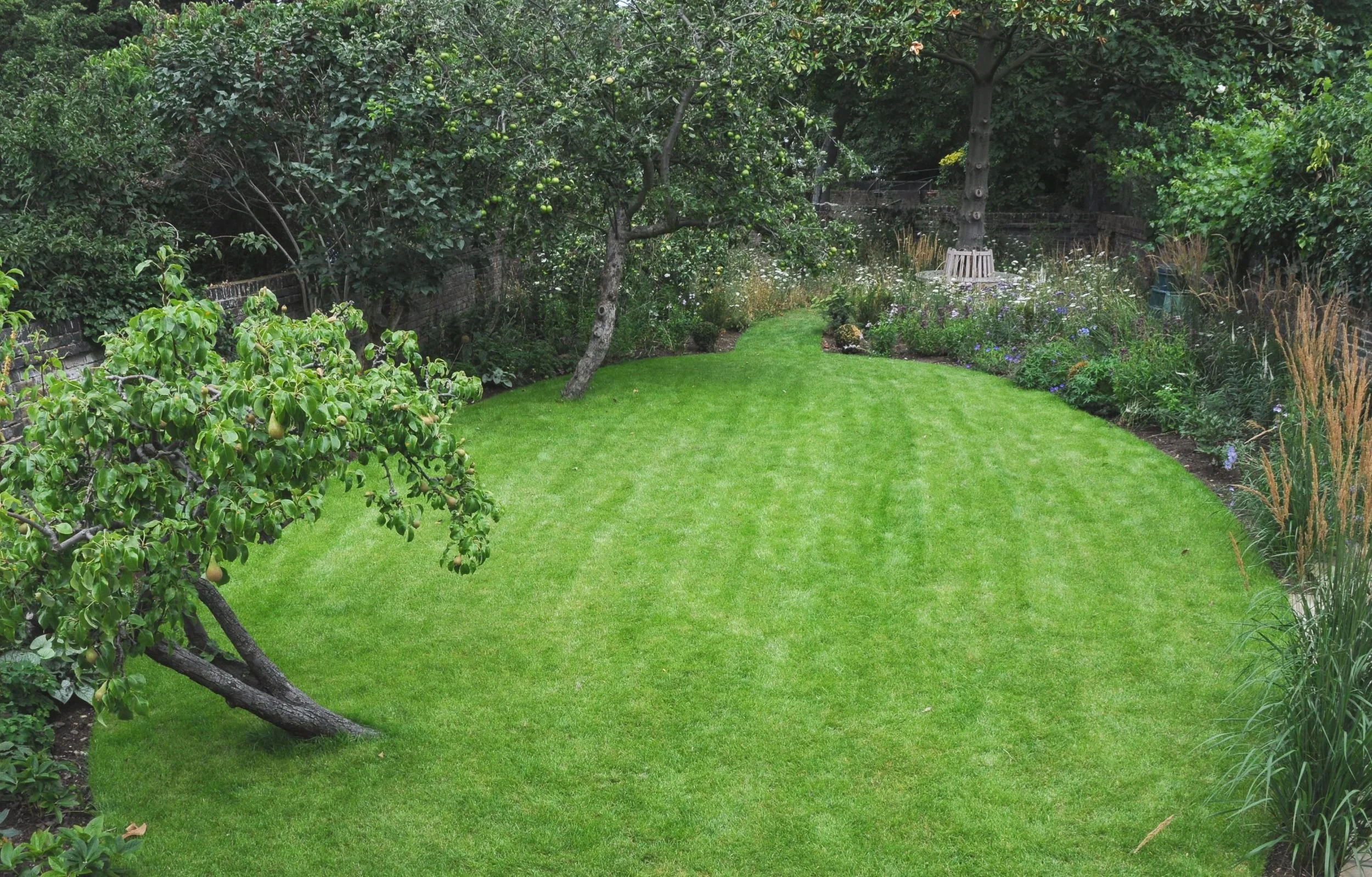 An elevated view over a curving lawn, pear and apple trees, and a wildflower border in a London country garden. JaneShanksterGardenDesign.co.uk.

Seen from above, the garden's structure comes into full view: a generous curving lawn bordered by fruit 