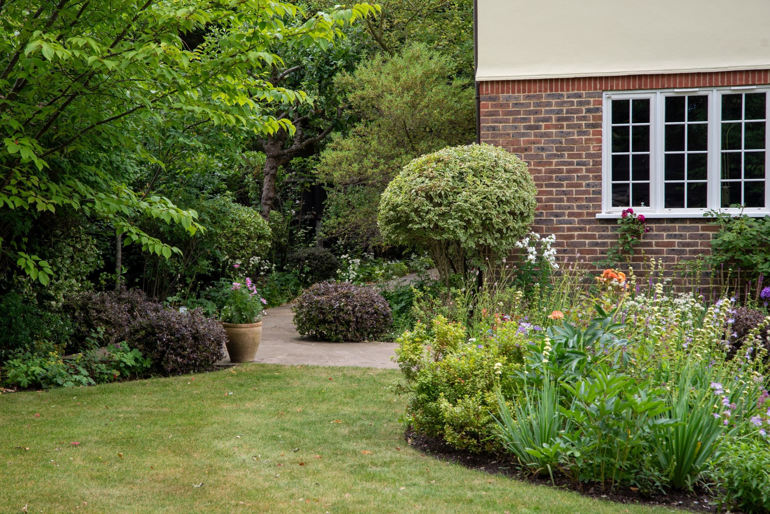Lawn and stone path bordered by shrubs, Surrey garden replanting by Jane Shankster Garden Design

A curving stone path leads past clipped variegated shrubs and a mature tree towards the house, with a neat lawn edge defining the border. This structura