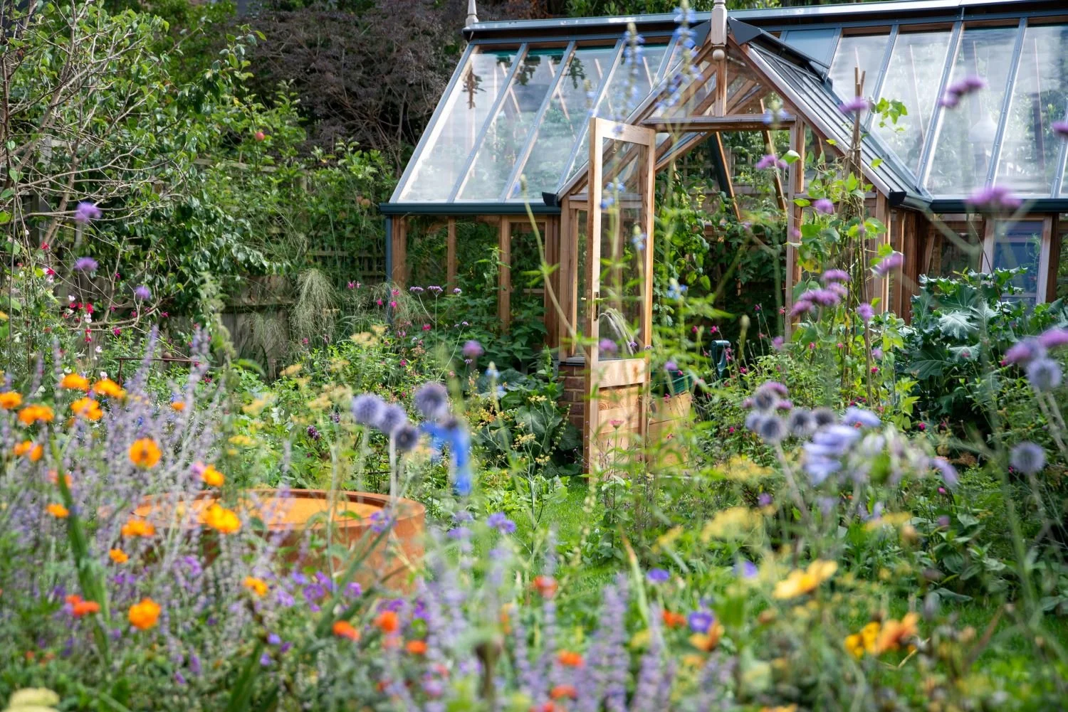 A cedar-framed greenhouse with its door open, set among a colourful cutting garden of alliums, salvias and sea holly